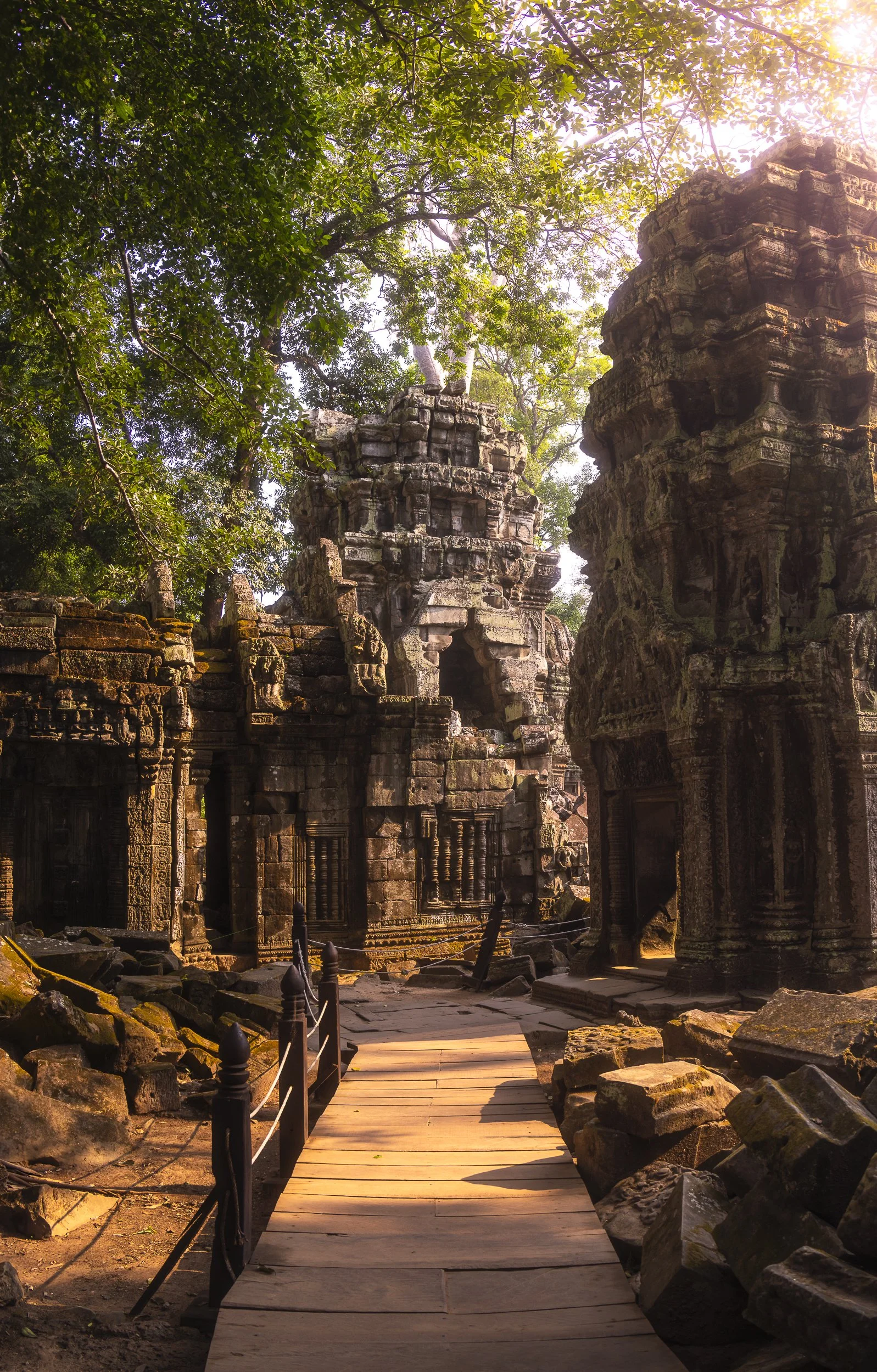 Ancient stone temples with intricate carvings, surrounded by lush green trees and sunlight, at Angkor Wat in Cambodia.
