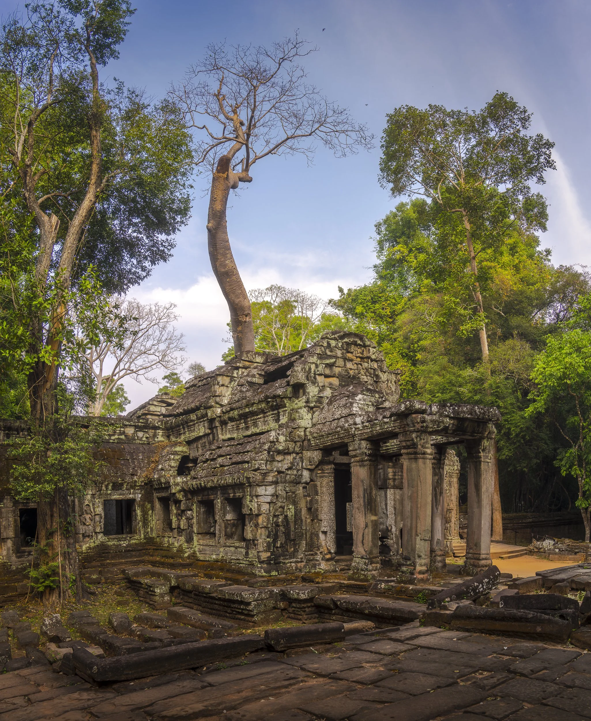 Ancient stone temple ruins in a forest with tall trees and a partly cloudy sky.