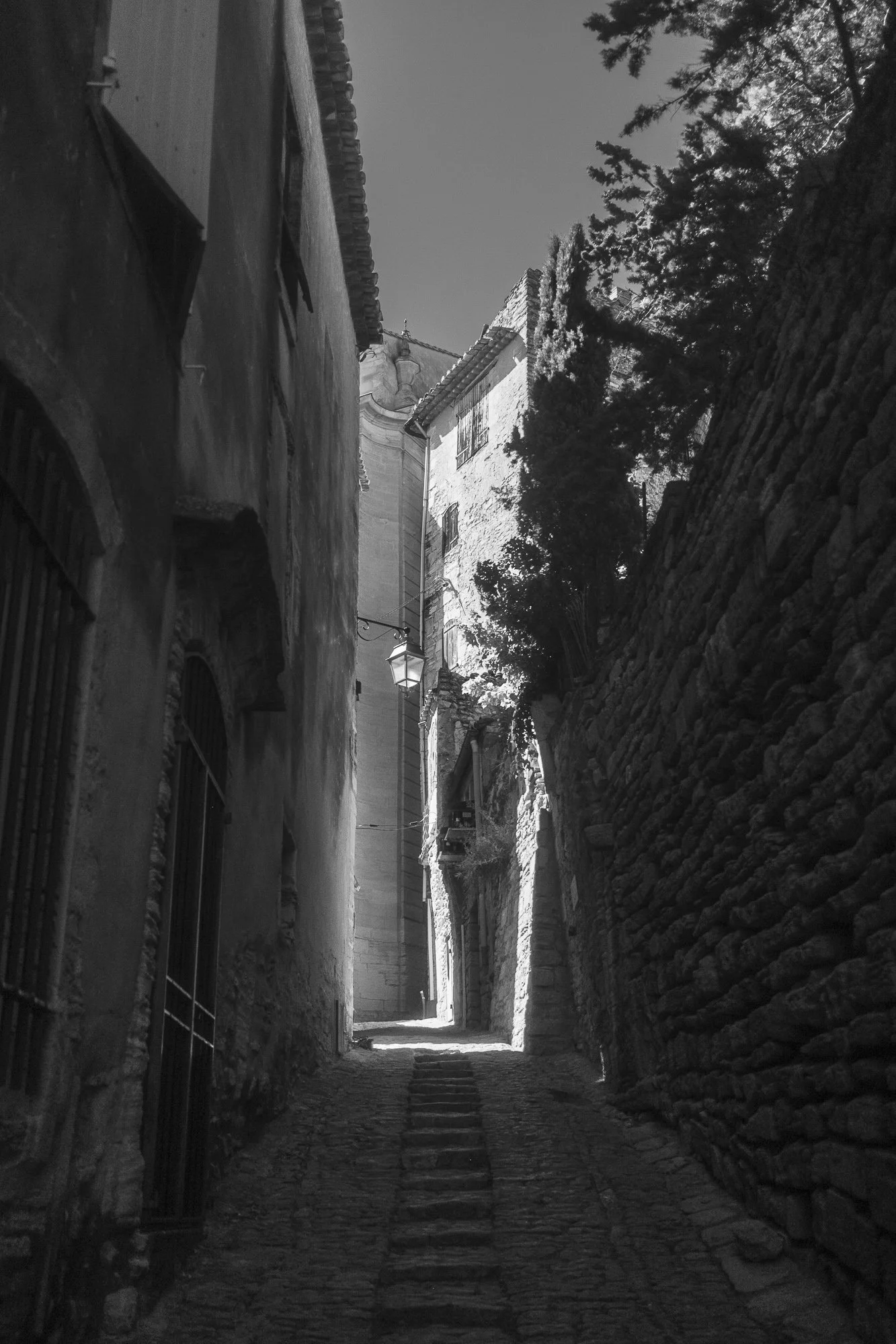 DSCF8426.jpg