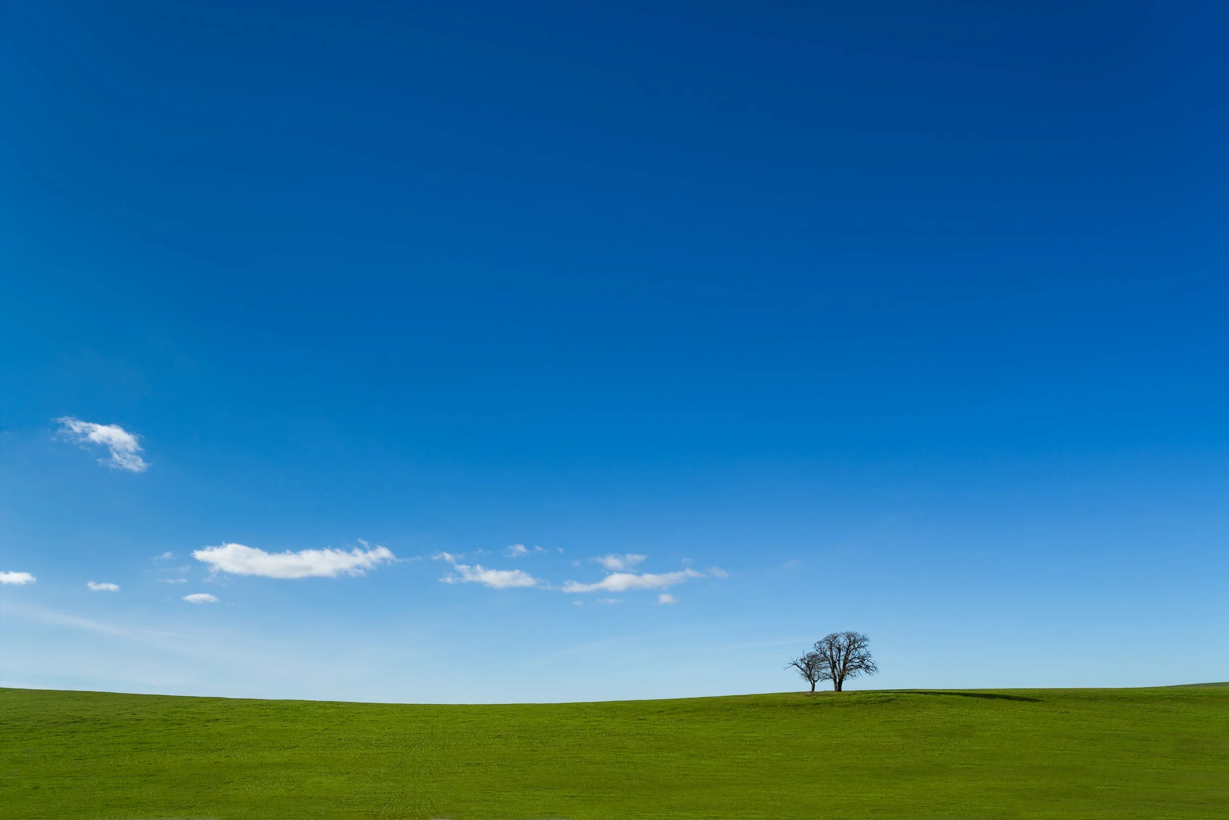 A green grassy field with two trees on the right side, under a clear blue sky with a few clouds.