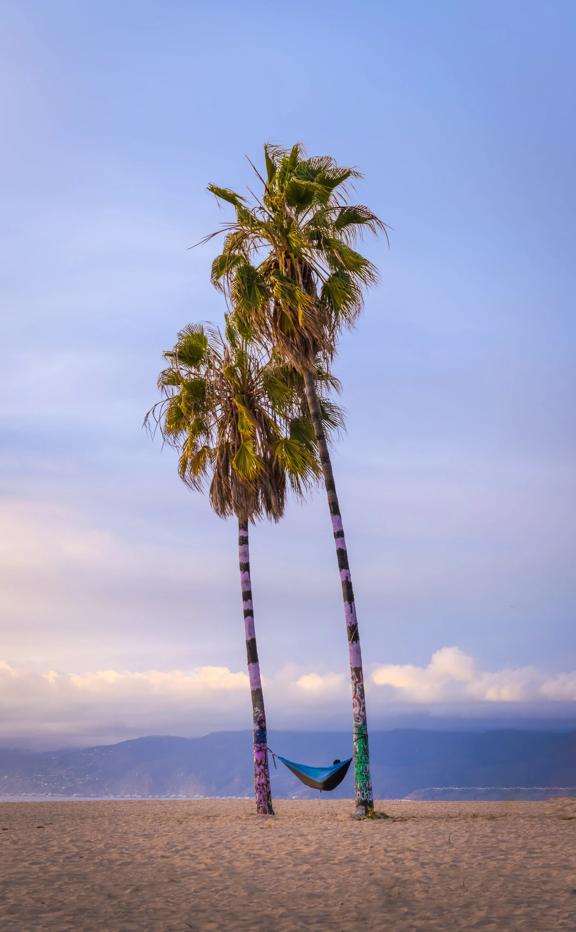 Two tall palm trees on a sandy beach, with a hammock tied between them and mountains in the background under a partly cloudy sky.
