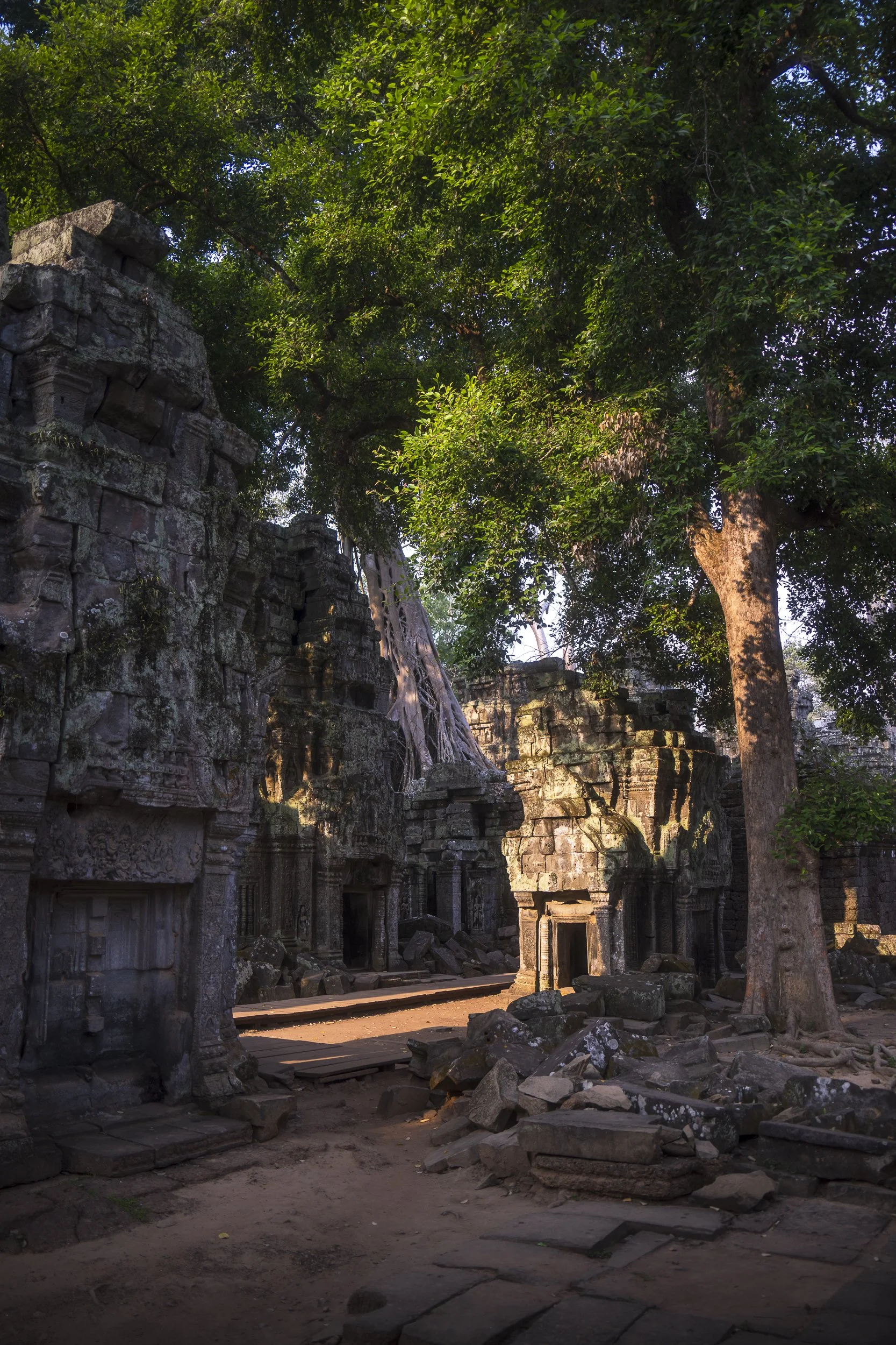 Ancient stone ruins overgrown with large green trees, with sunlight casting shadows on the weathered stone structures and a dirt path leading through the site.