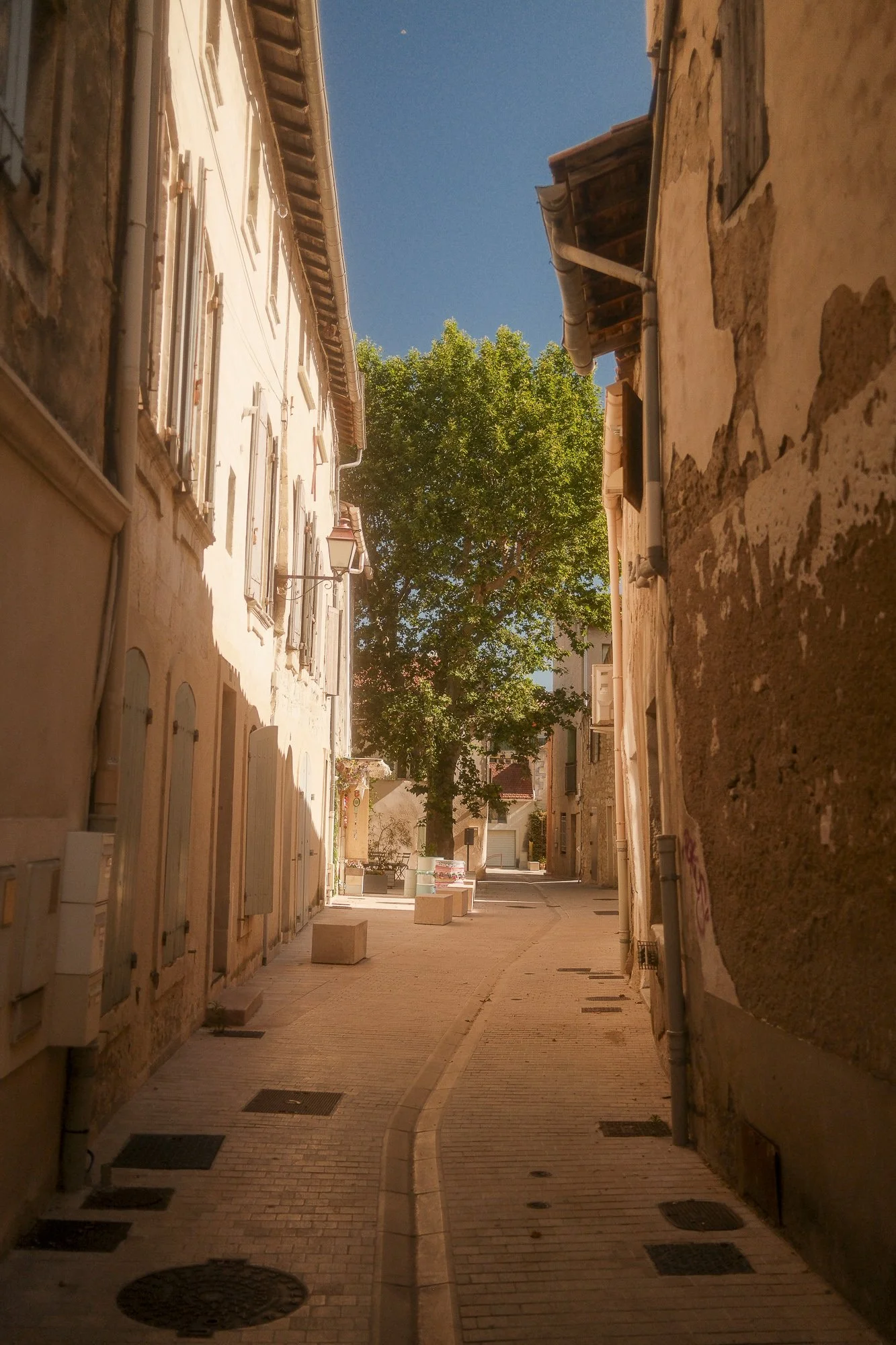 DSCF8369.jpg