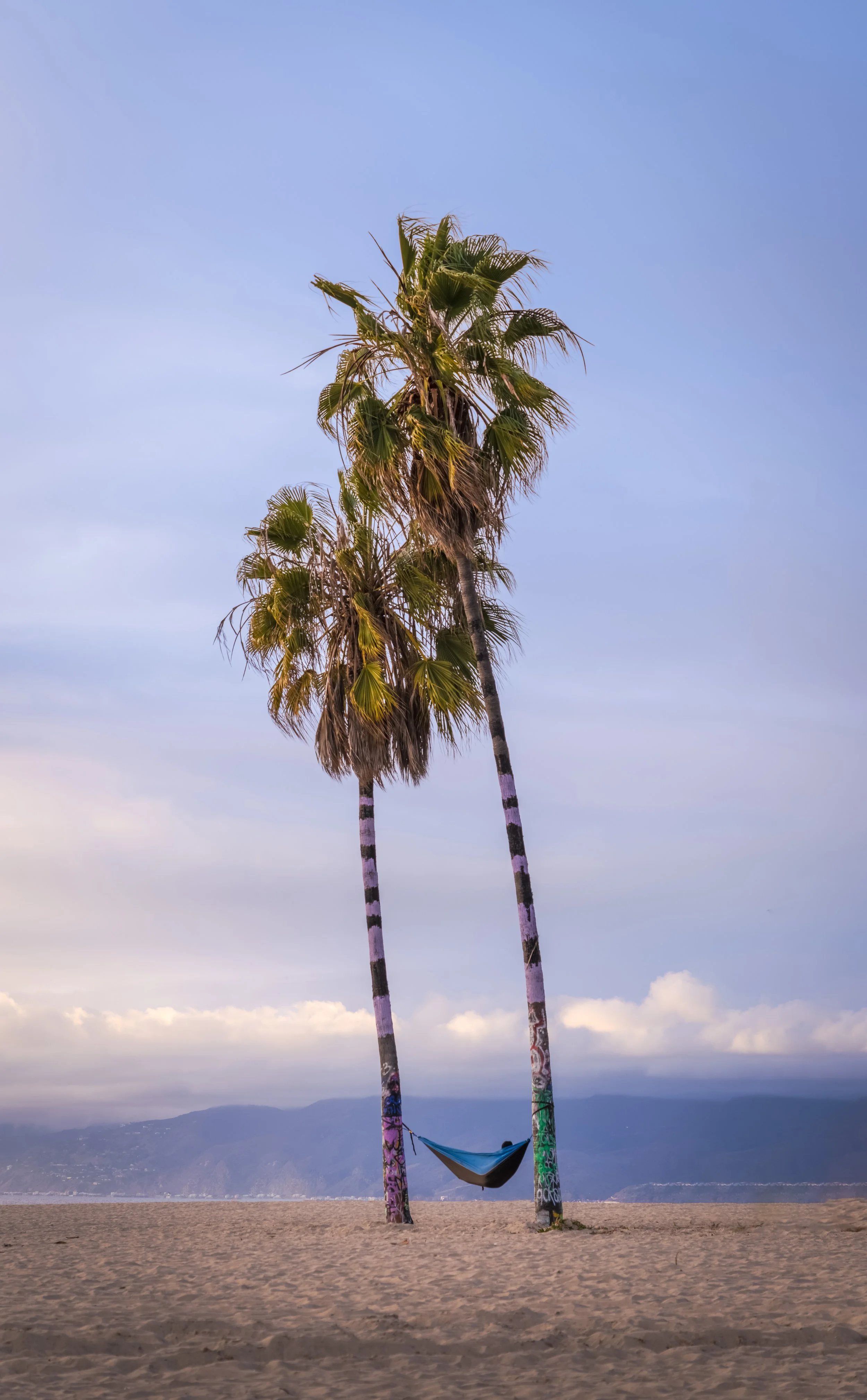 Two palm trees on a beach with a hammock tied between them, graffiti on the trees, ocean and mountains in the background, sky with clouds.