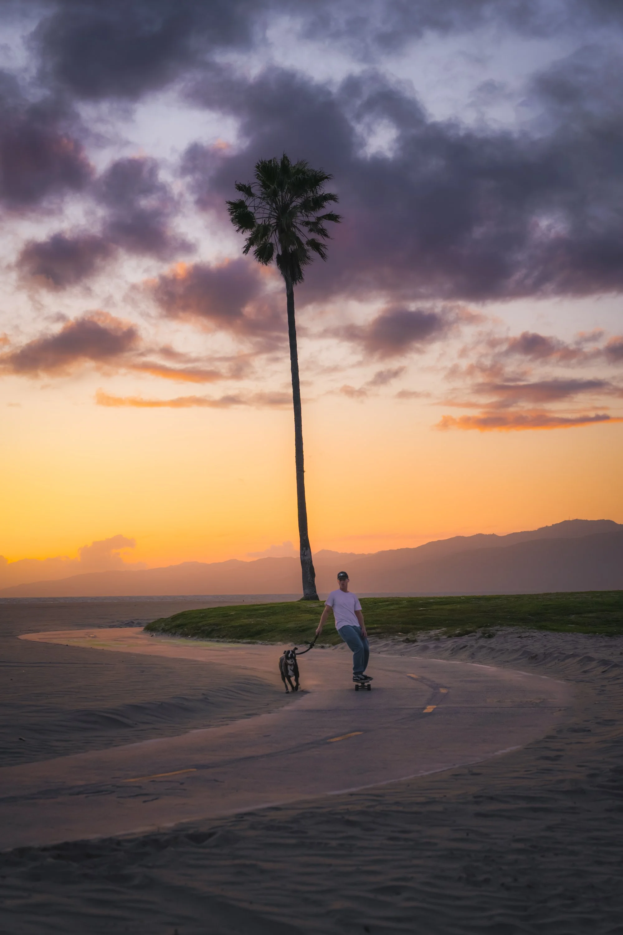A man skateboarding on a pathway next to a dog at sunset, with a tall palm tree and mountains in the background.