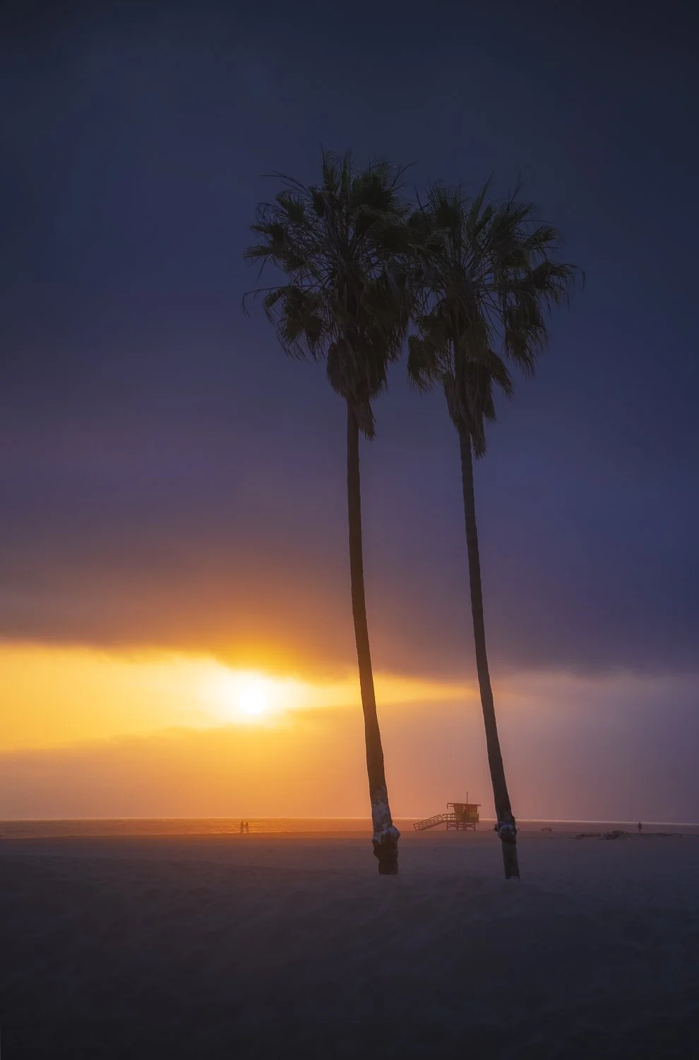 Two tall palm trees at the beach during sunset with dark clouds in the sky.