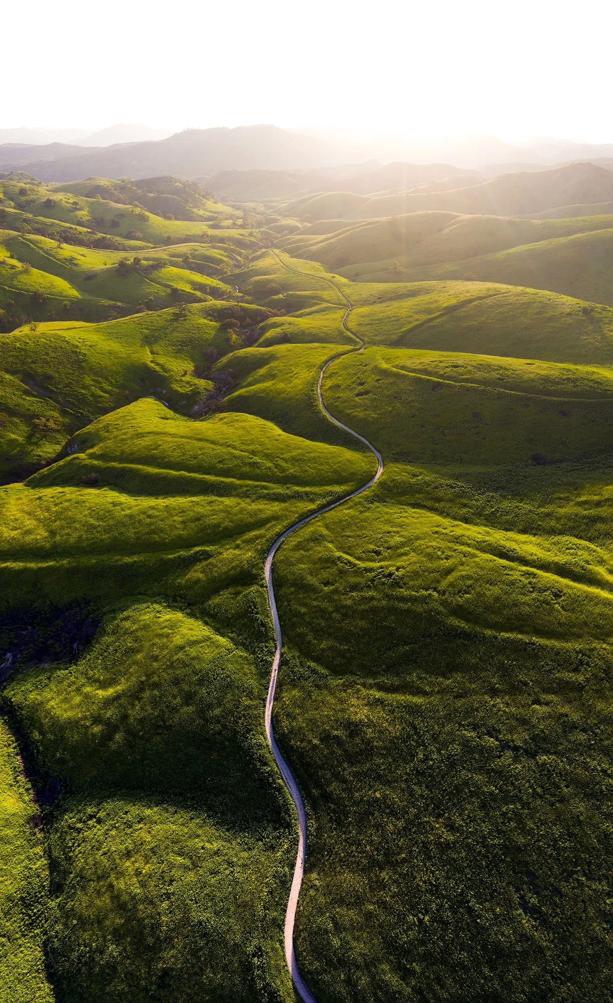 Aerial view of rolling green hills with a winding dirt path leading into the distance, illuminated by sunlight.