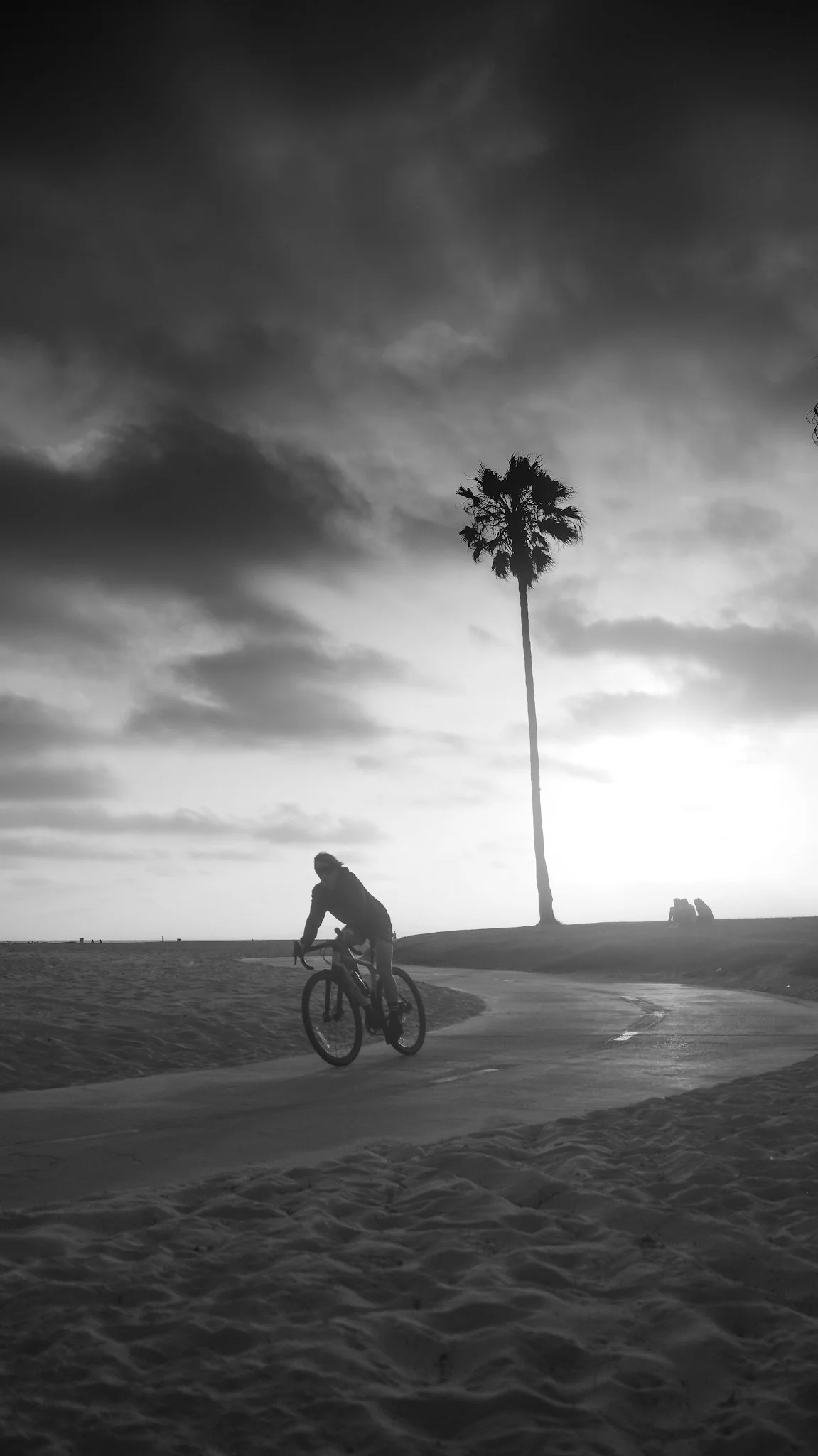 A person riding a bicycle on a paved path along a beach with sand, next to a tall palm tree, with a couple sitting on the grass in the background, during sunset or sunrise, in black and white.