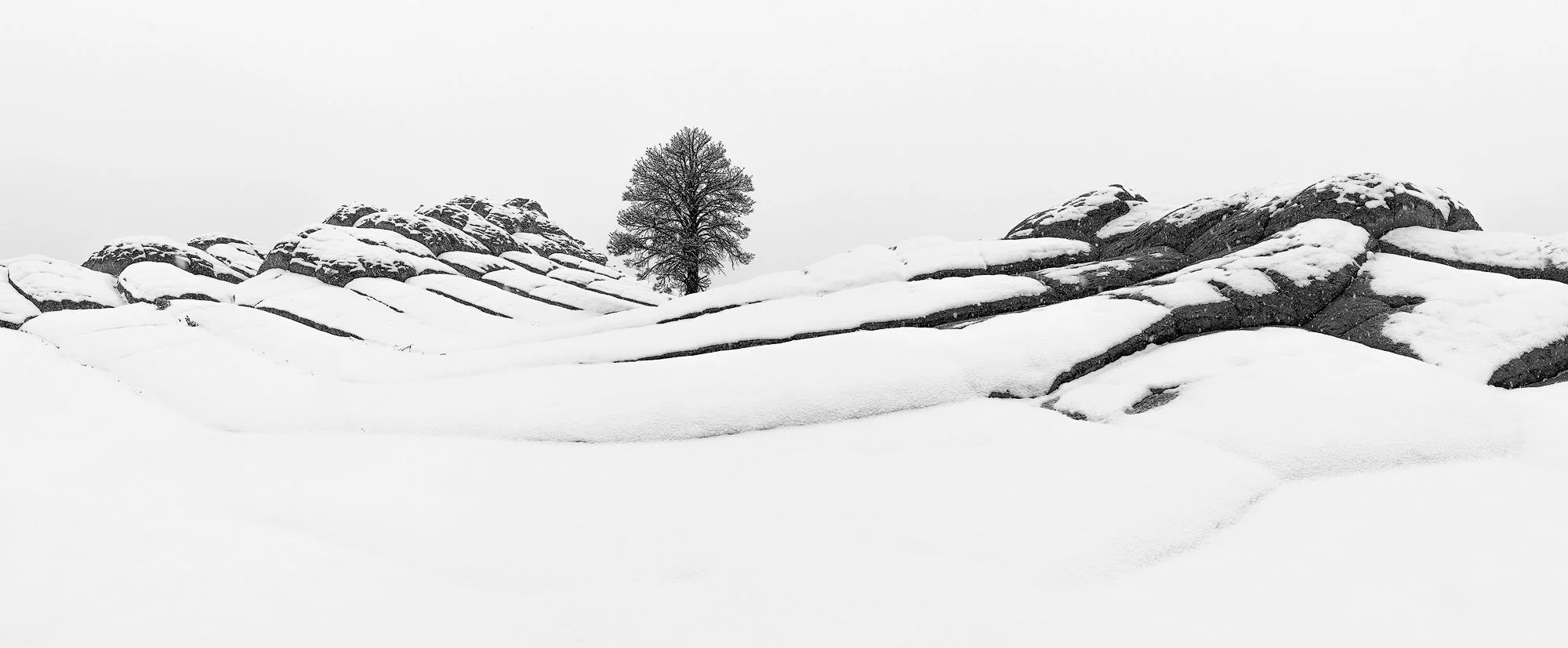 A snow-covered landscape with a solitary tree in the distance, surrounded by rocks partially covered in snow, under an overcast sky.