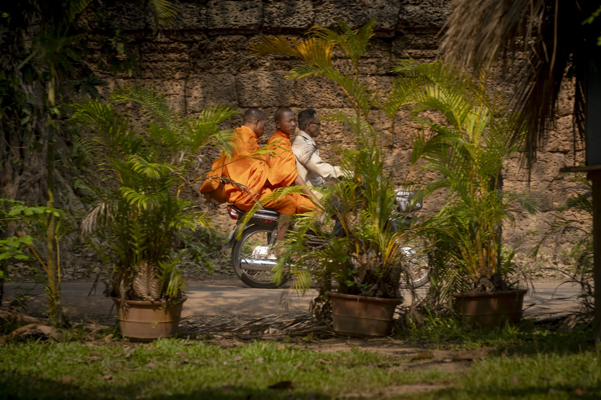 Three men riding a motorcycle, with two of them wearing orange robes, passing behind potted plants in front of a stone wall.