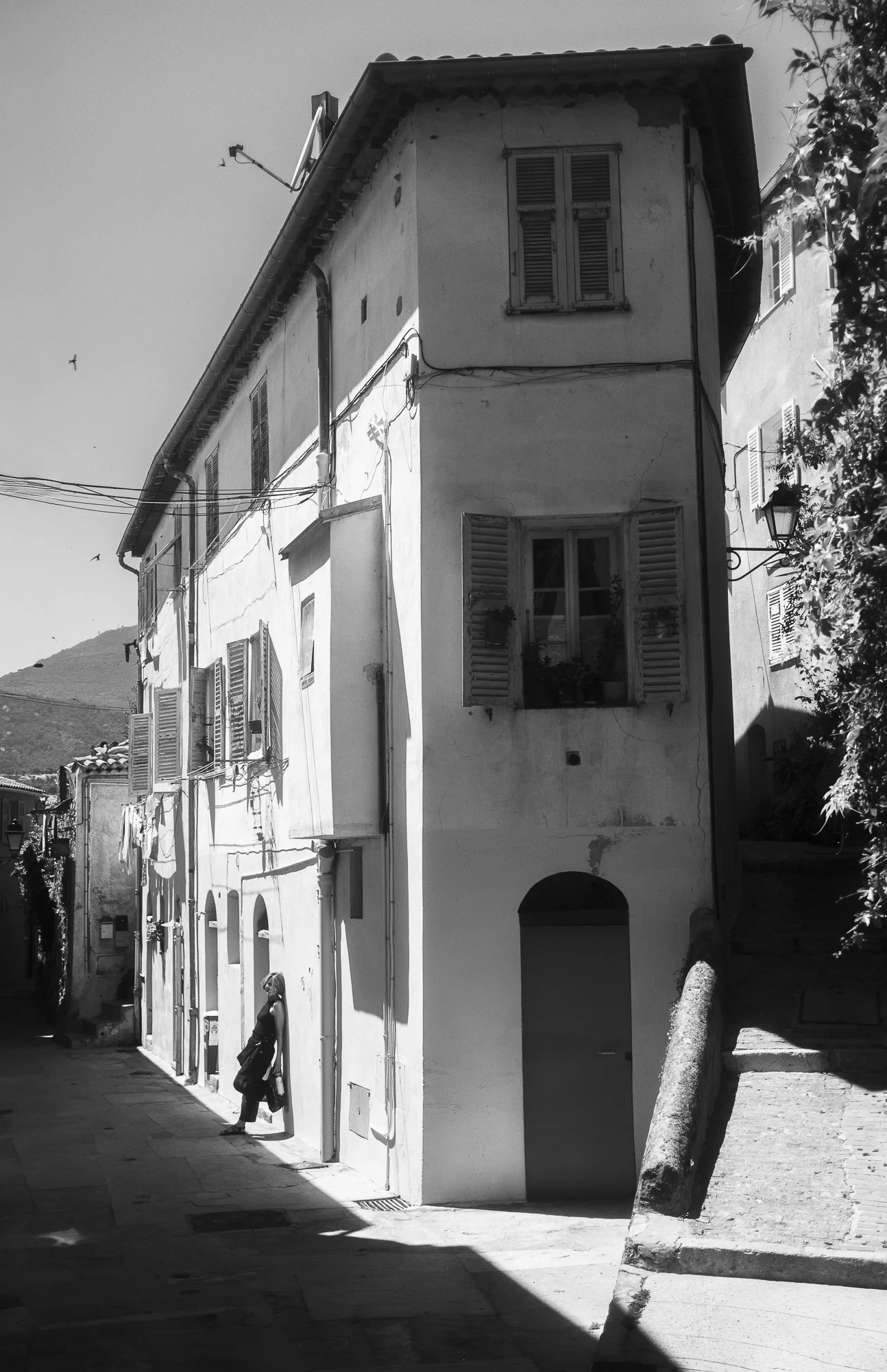 DSCF8831.jpg