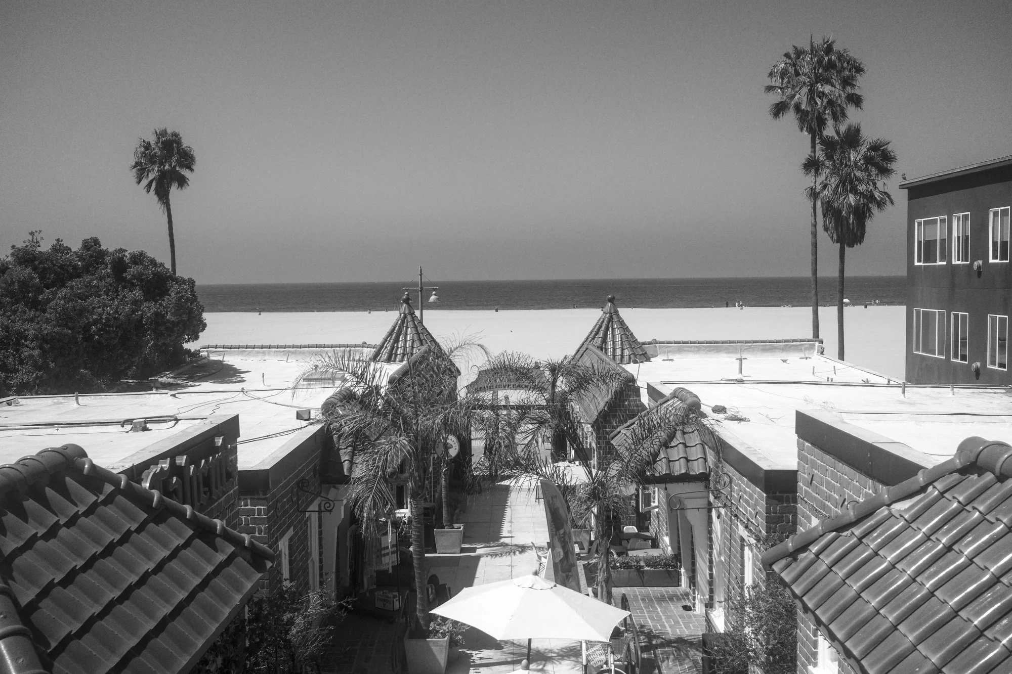 DSCF3497.jpg