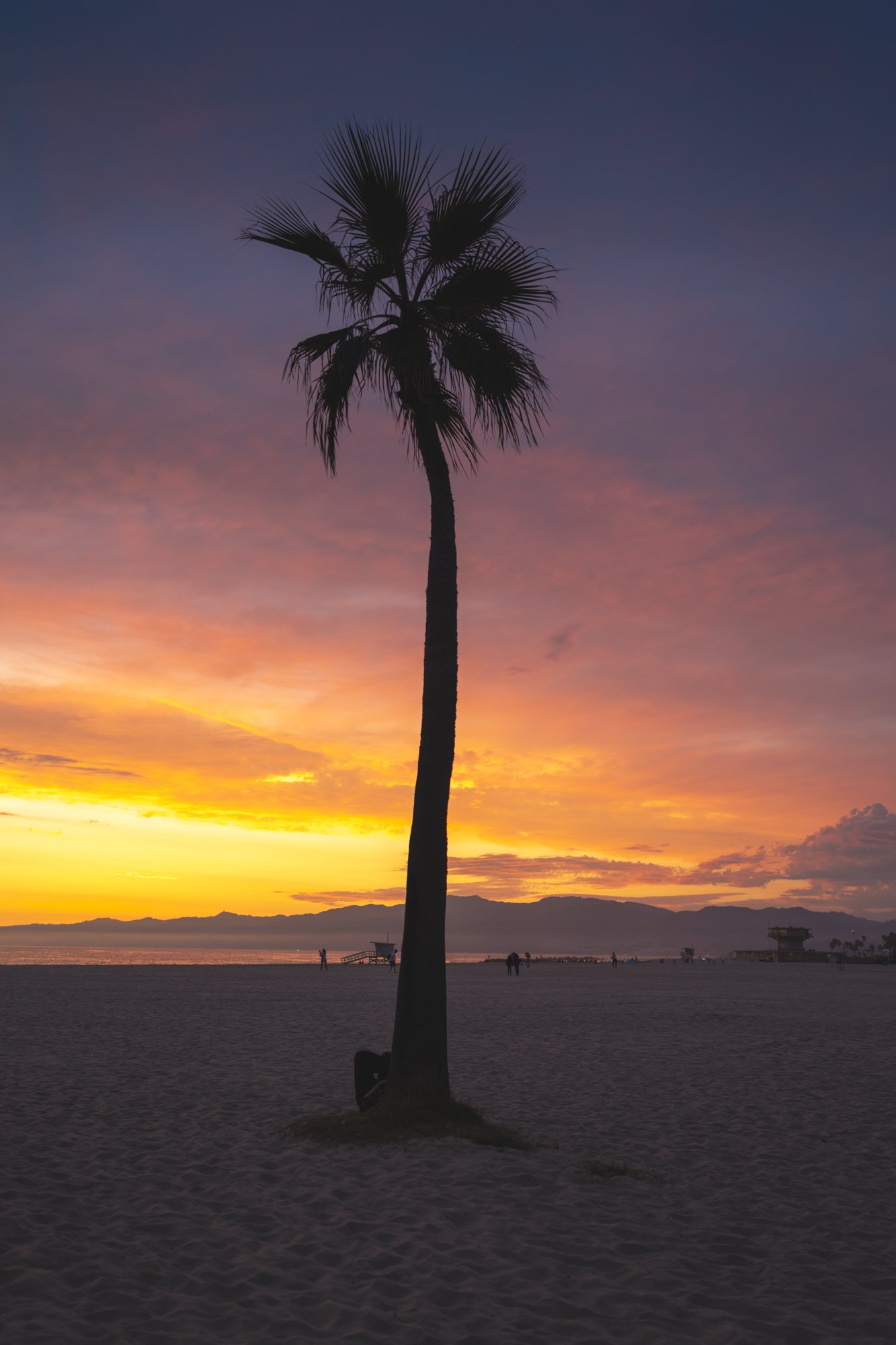 Silhouette of a palm tree on a beach during sunset with colorful sky and distant mountains.