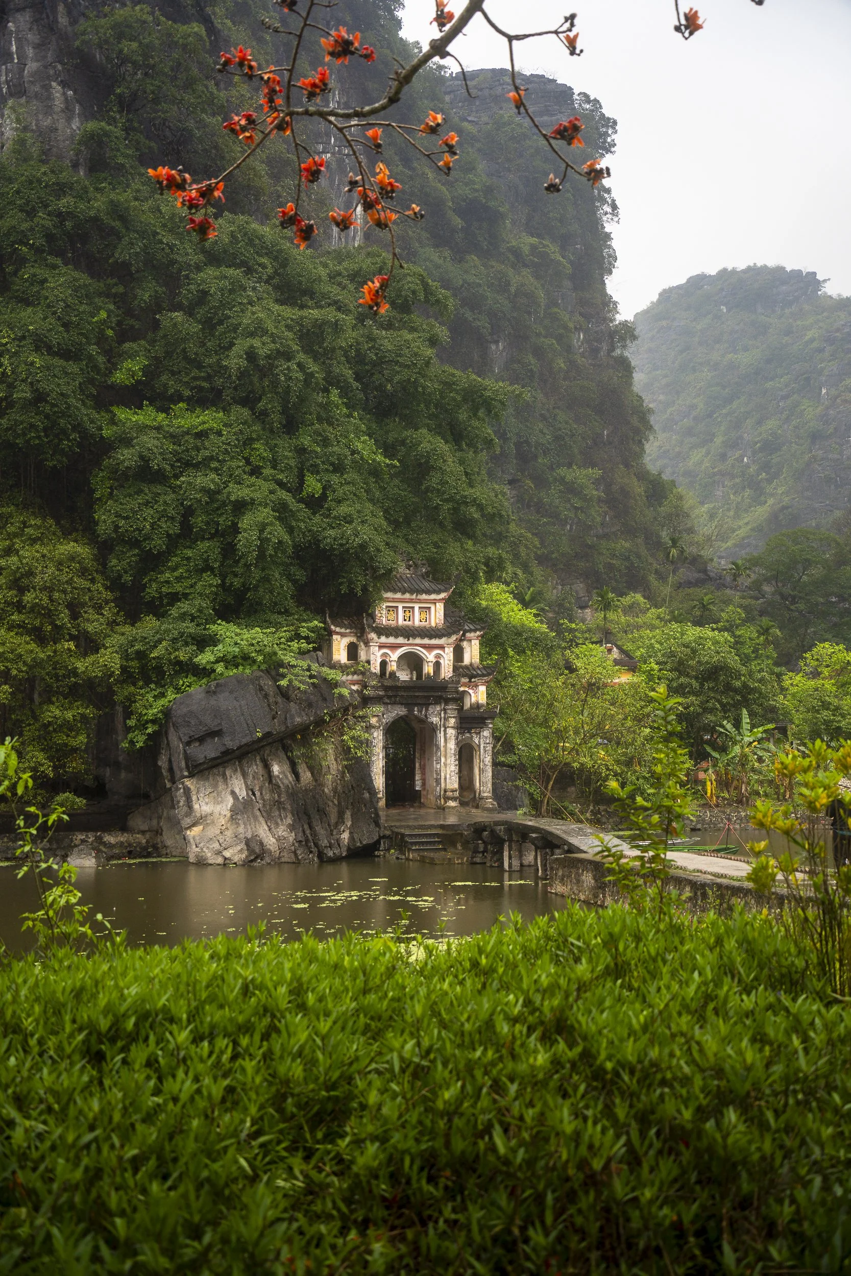 A traditional Asian temple nestled among lush green trees near a small pond, with mountains in the background and a branch with orange flowers in the foreground.