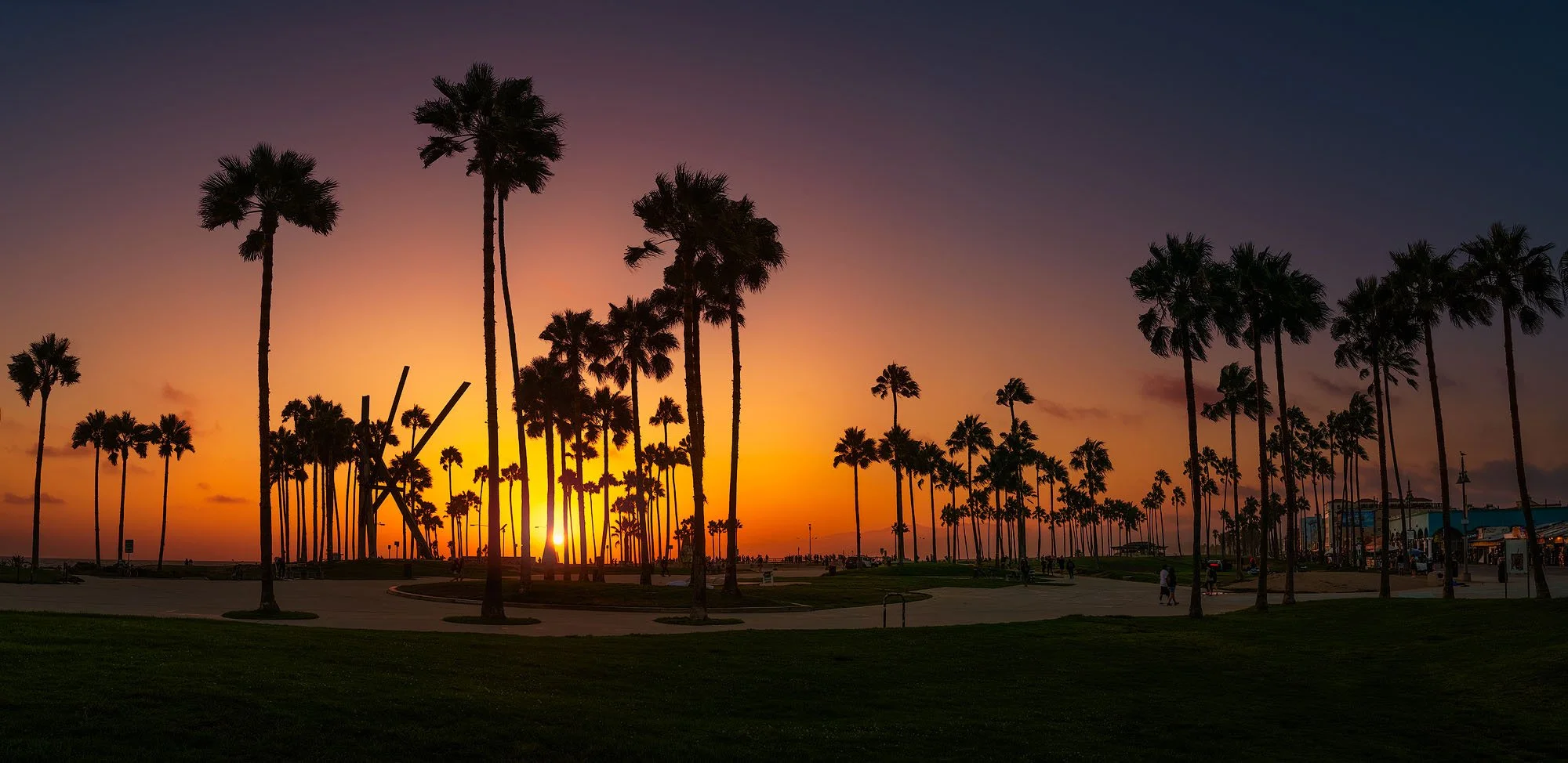 Silhouetted palm trees at sunset over a park with people walking and buildings in the background.