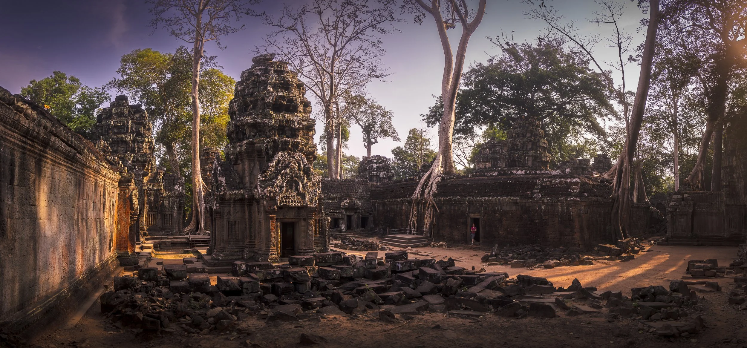 Ancient temple ruins overgrown with large trees and roots, scattered stones on the ground, sunlight filtering through the trees.