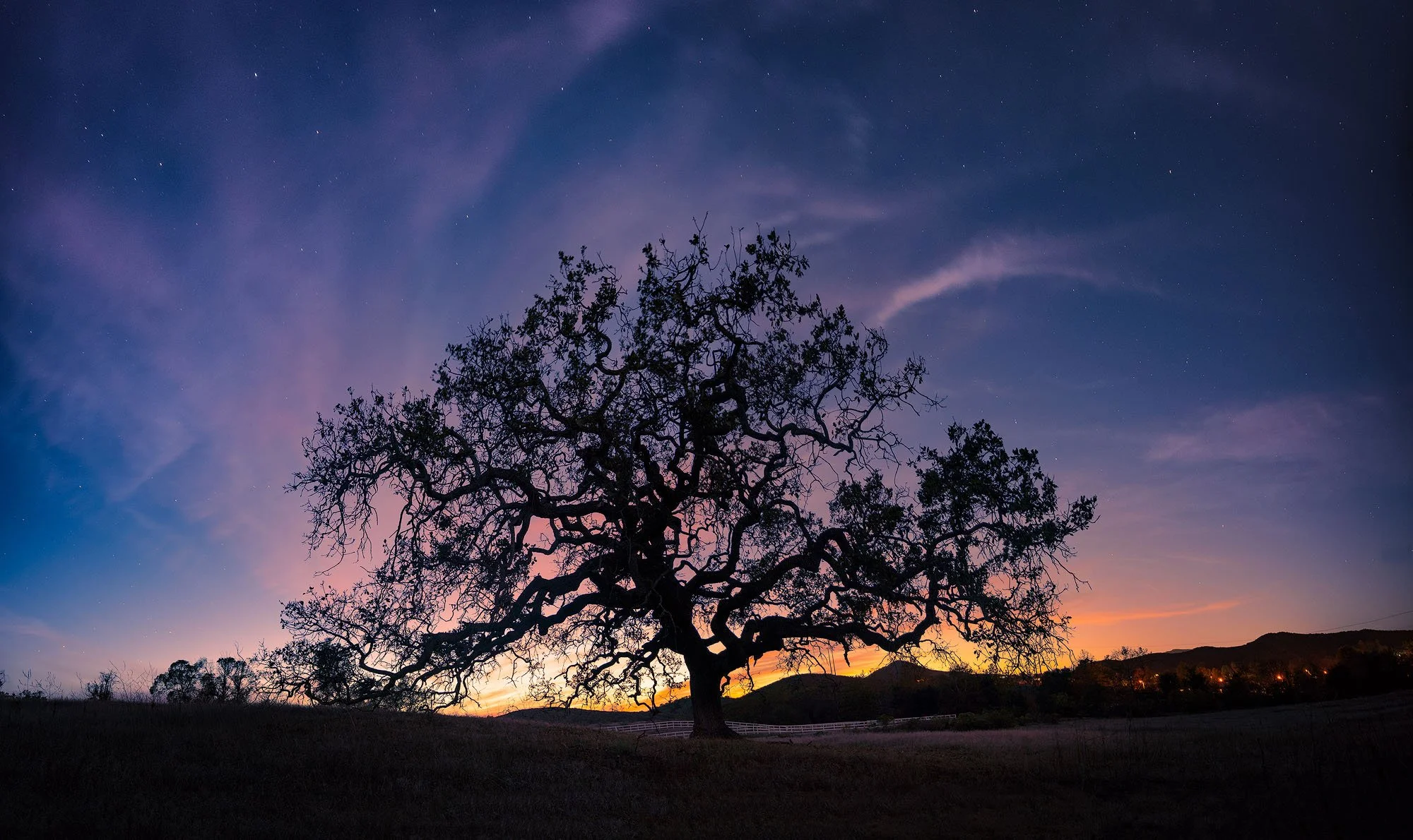 Silhouetted tree under a colorful twilight sky with stars and wispy clouds