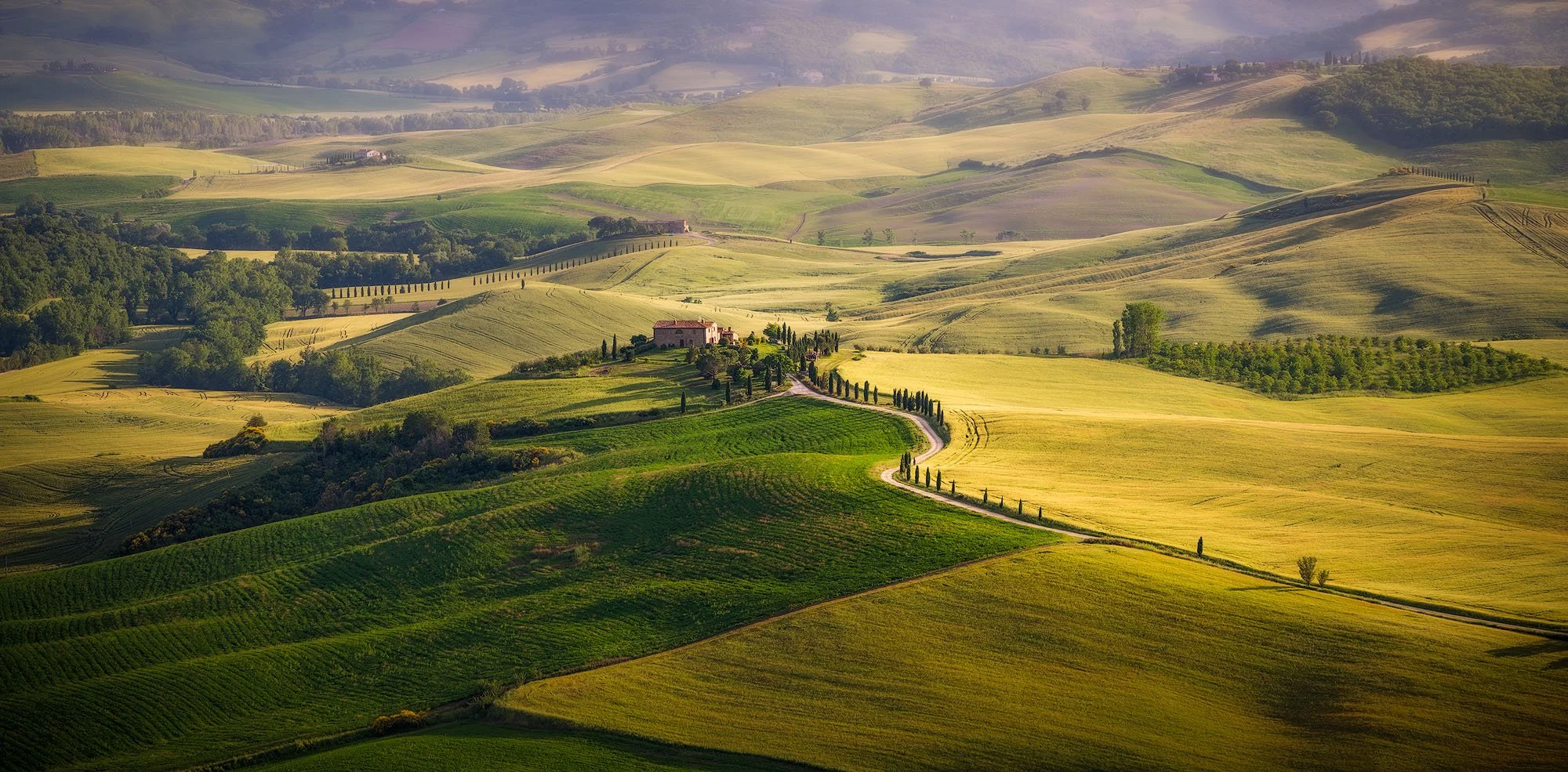 Rolling green hills with a winding road lined with tall cypress trees leading to a rustic farmhouse in the Tuscan countryside.