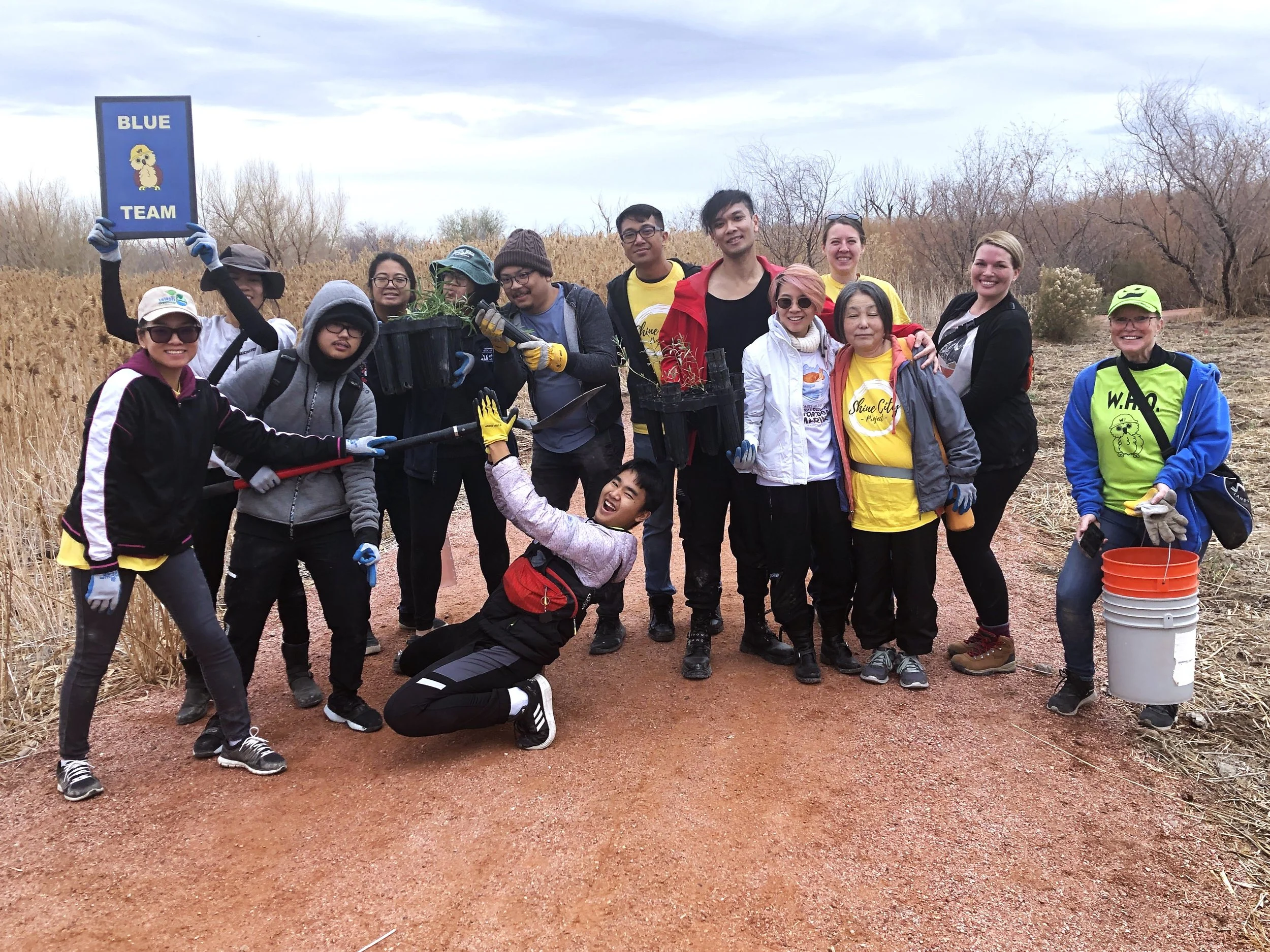 Shine City Project helped to plant trees at Wetlands Park