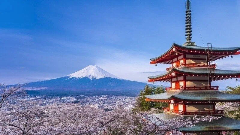 Protect Religious Freedom in Japan: Sign the Petition Today!
