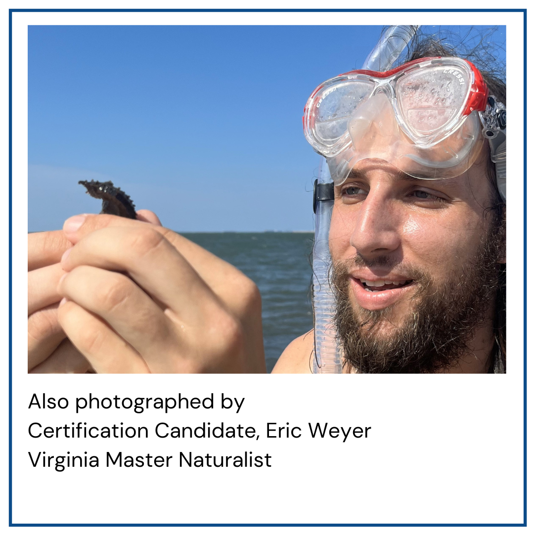Eric Weyer credit.png