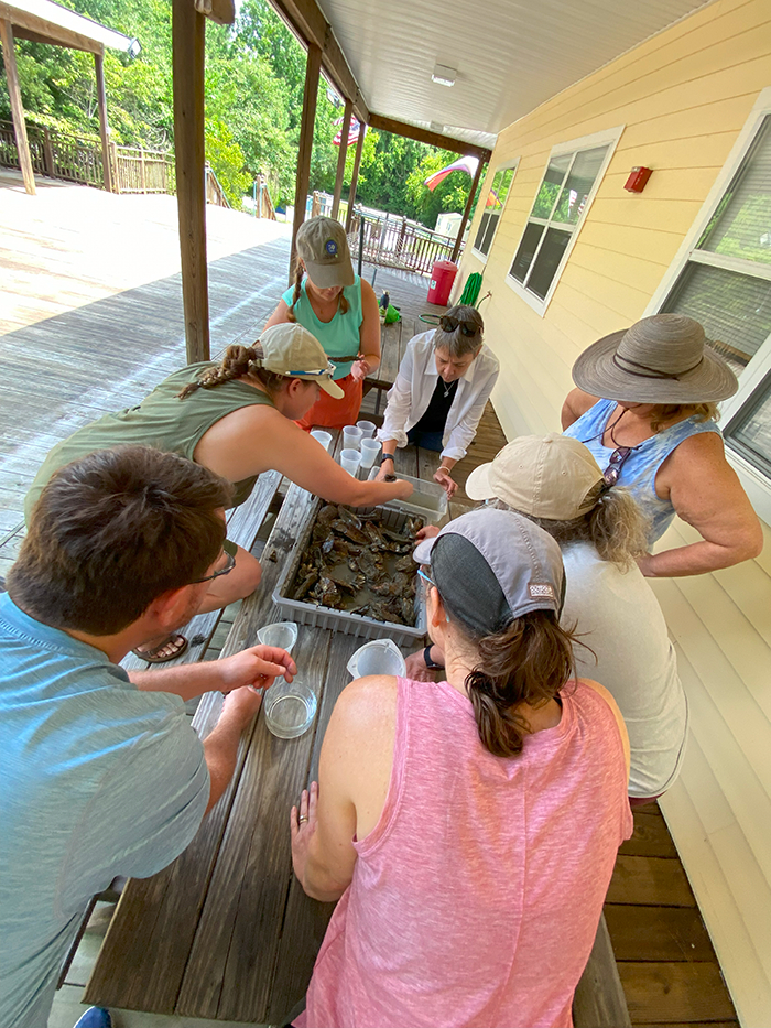 Inspecting an Oyster Cube