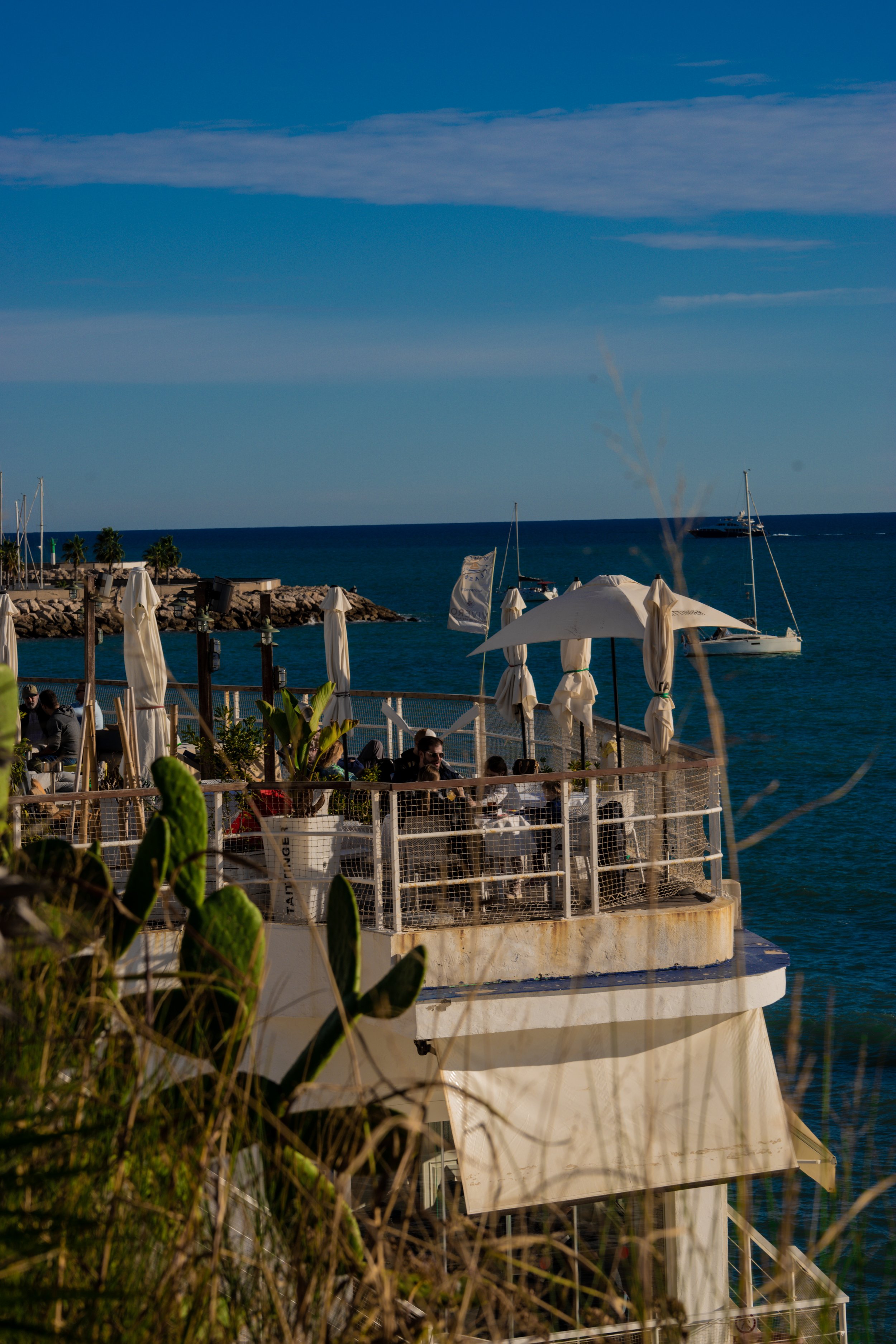 DSC02510.jpg