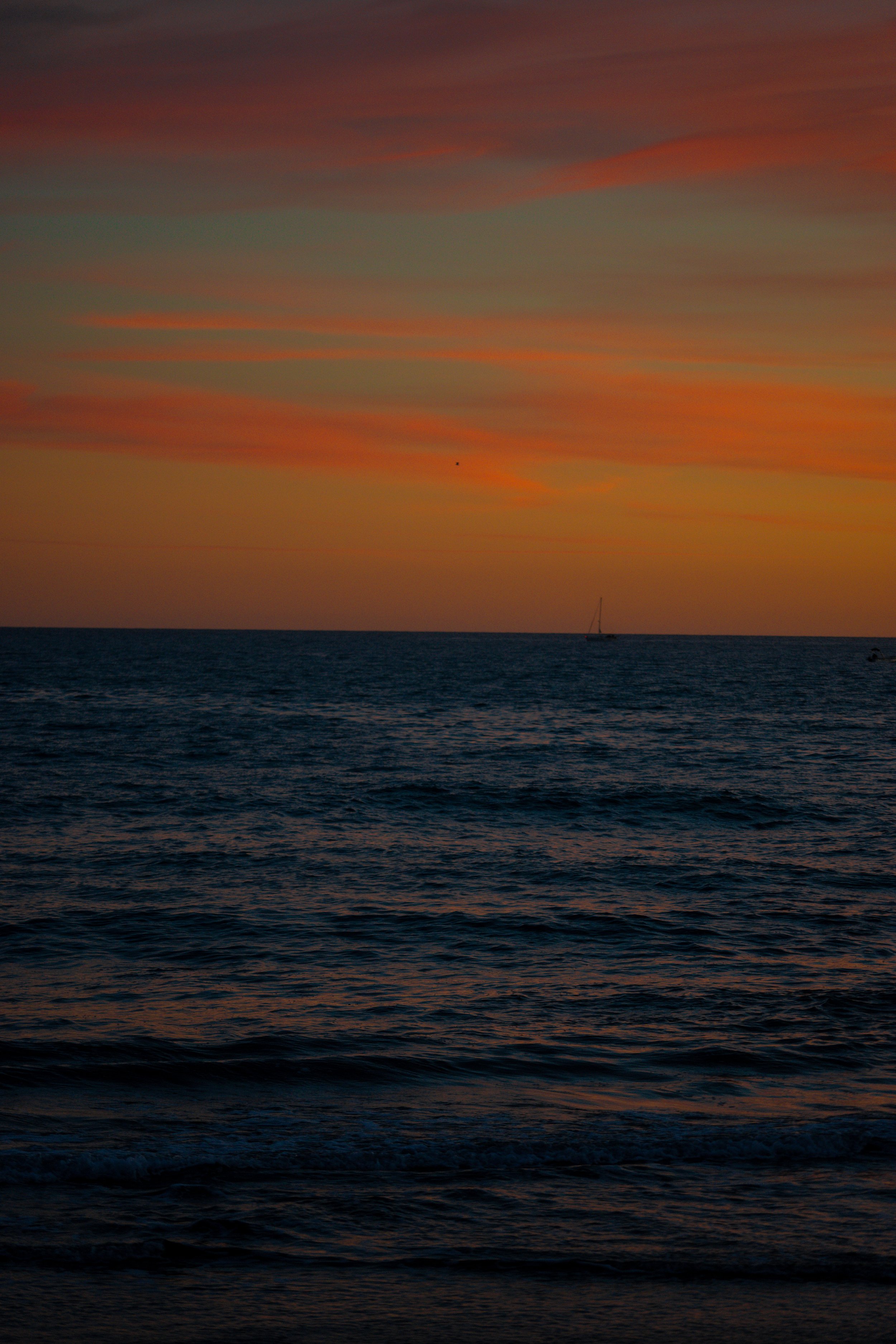 DSC02538.jpg