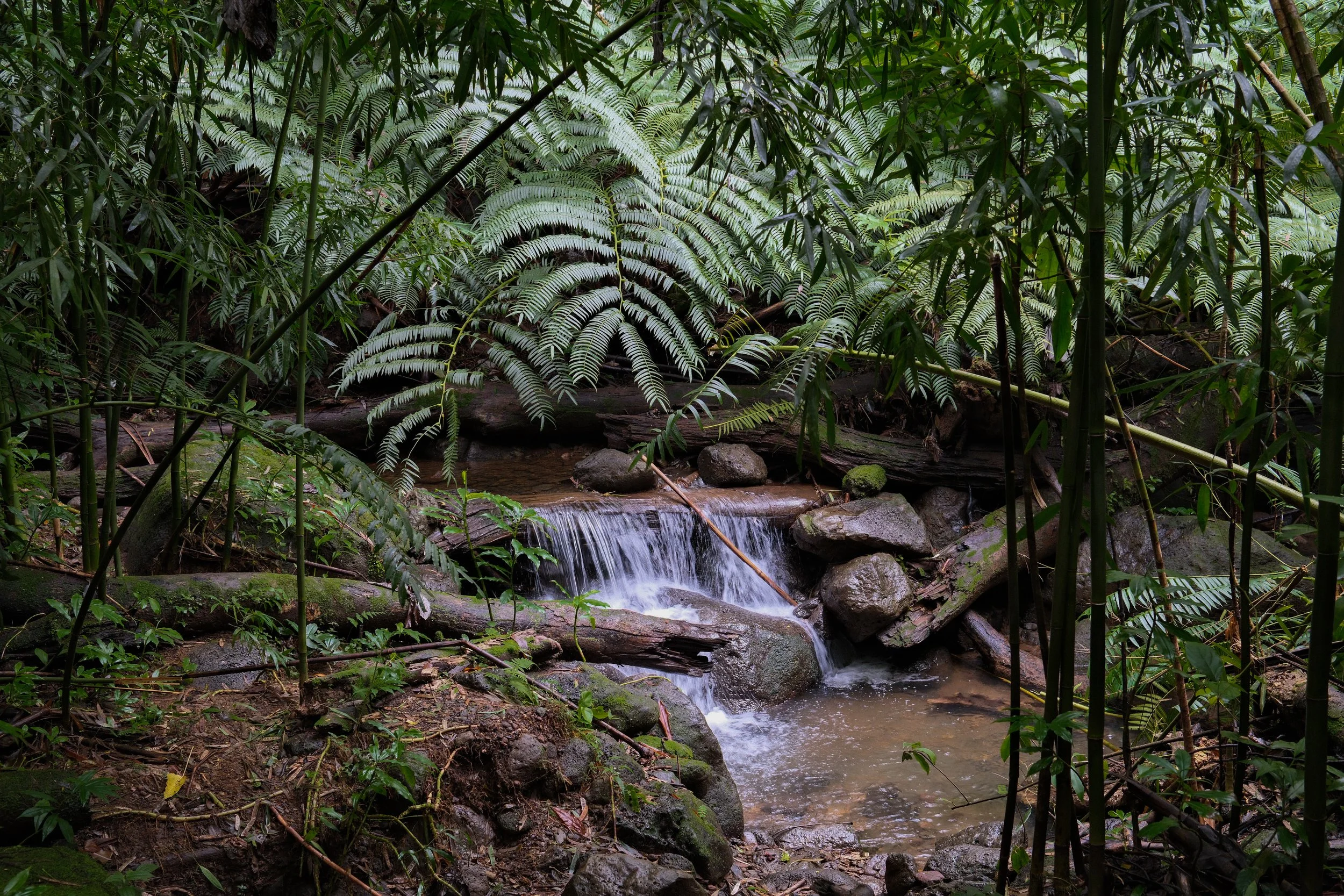 DSCF0795.JPG