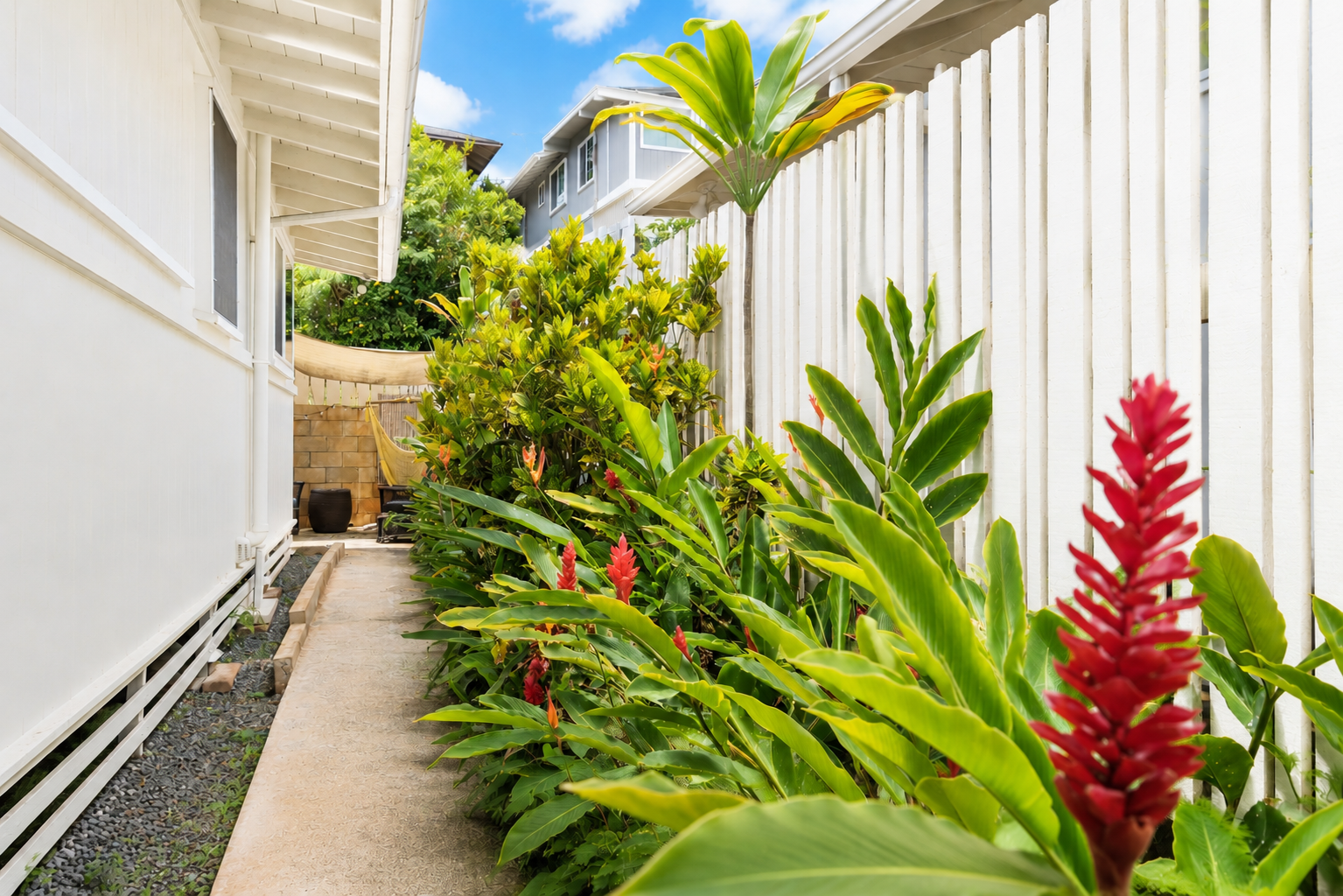 Side yard with lush green plants and red flowers alongside a white house with a wooden fence under a partly cloudy sky.