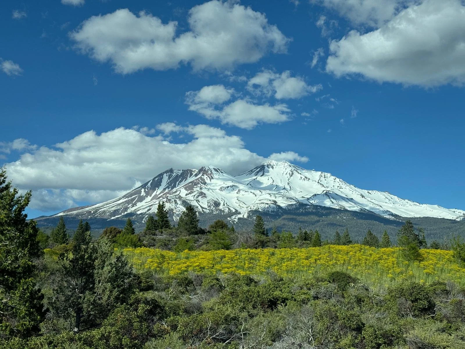 Trituration for Earth Mt. Shasta Retreat