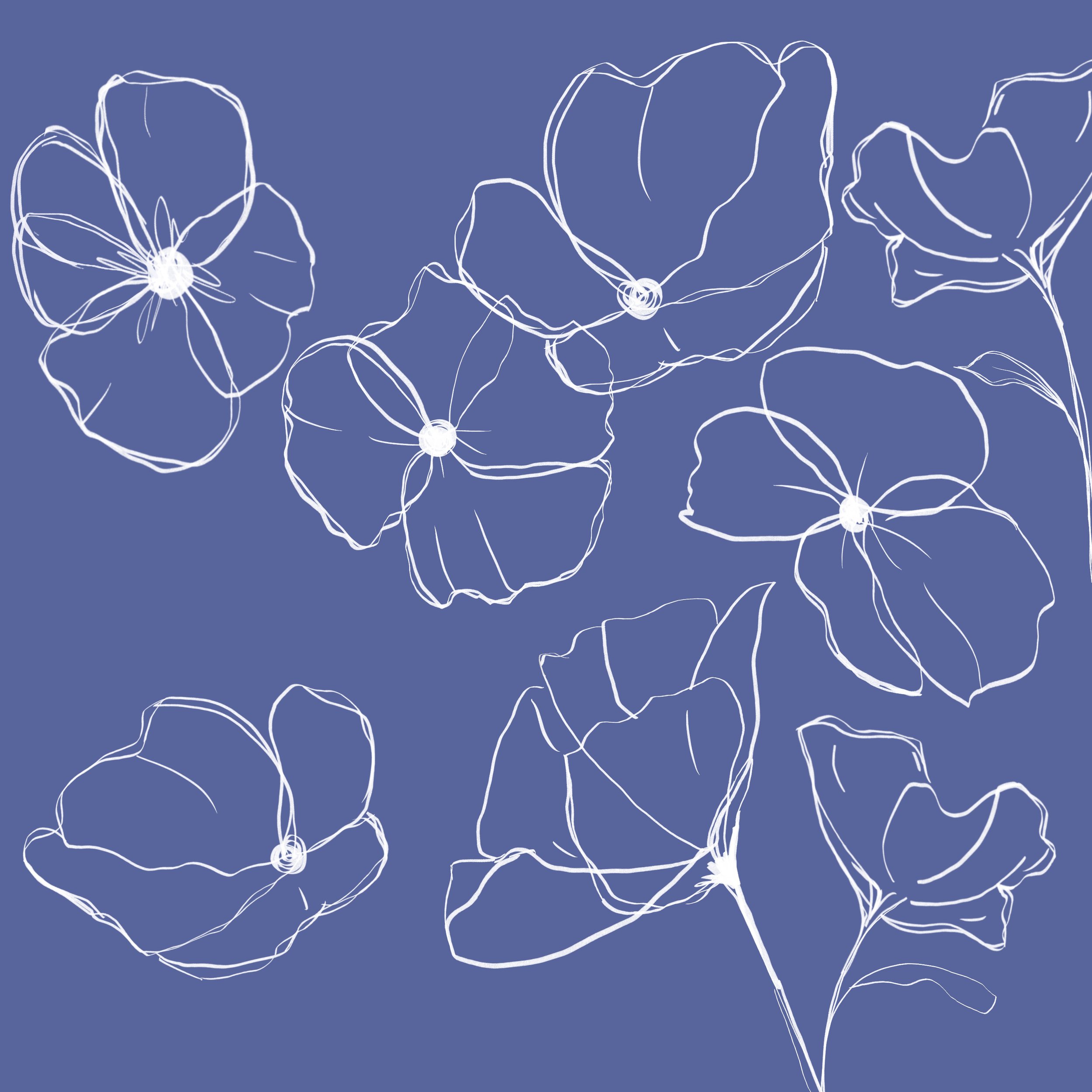 poppy work from procreate.jpg