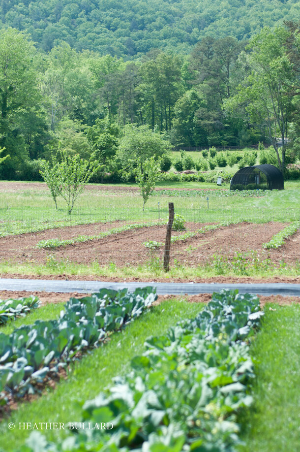 The Gardens of Blackberry Farm — HEATHER BULLARD