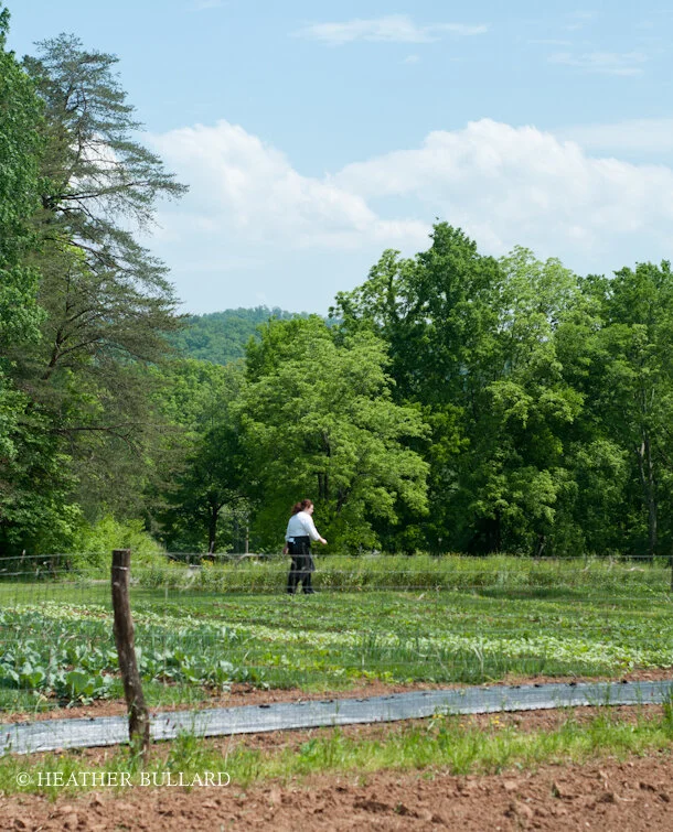 The Gardens of Blackberry Farm — HEATHER BULLARD