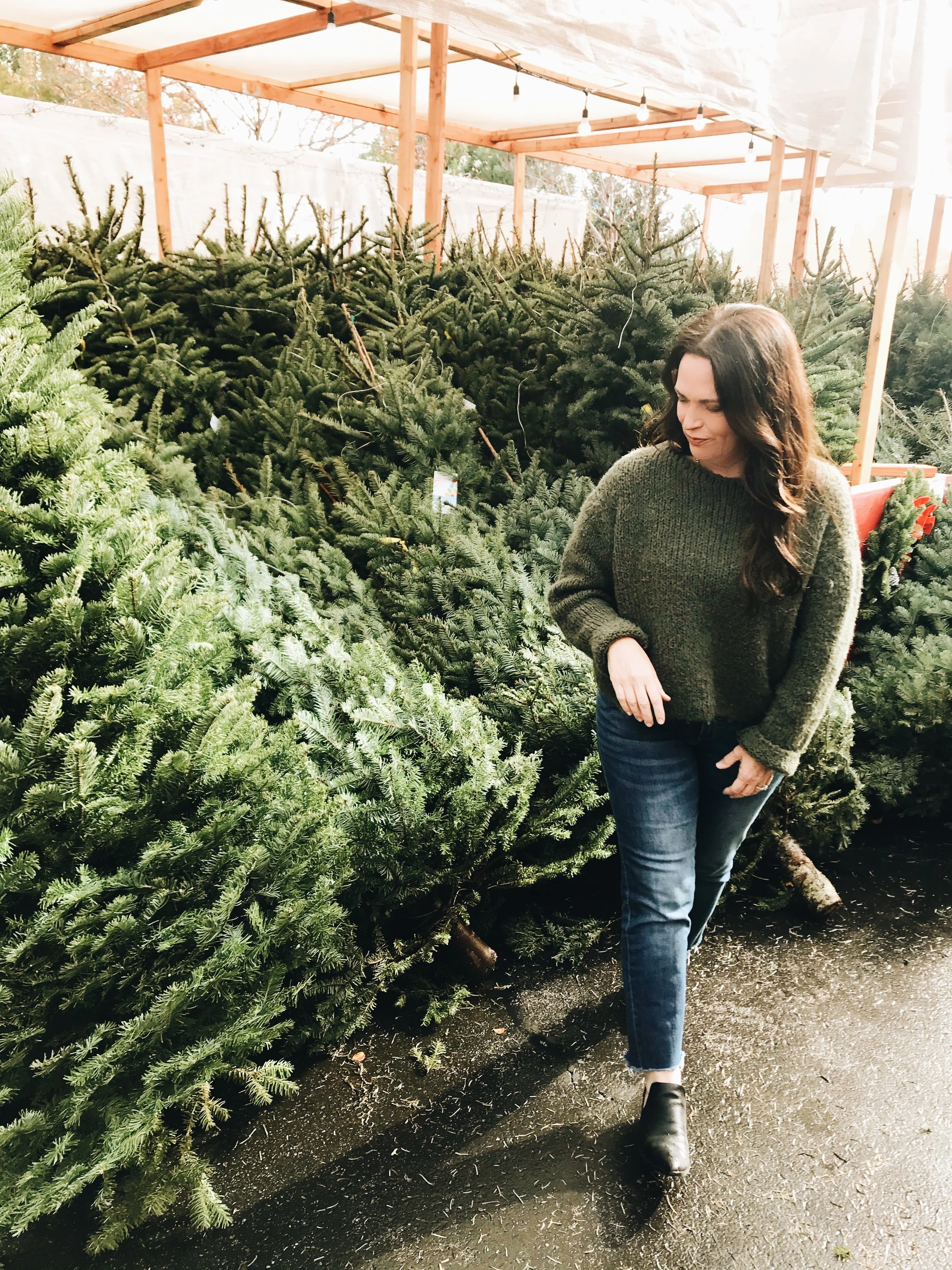 HOLIDAY SHOP — HEATHER BULLARD
