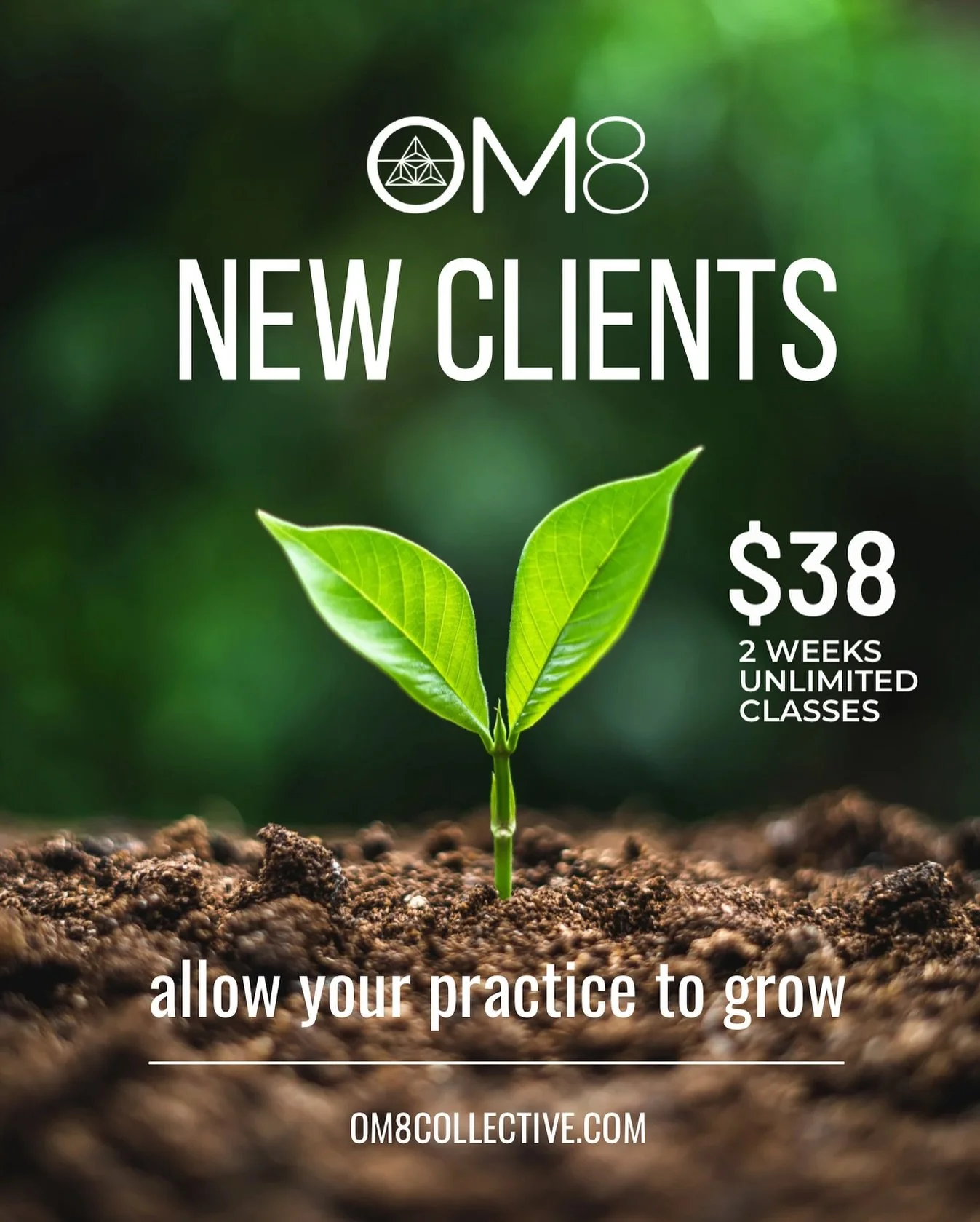 New to the studio? Been here once? We would love to have you come to class with us!  Our new client offer of 2 weeks of classes for $38 is a great way to try all the formats, temps and teachers! Sign up on our website at om8collective.com. If you hav