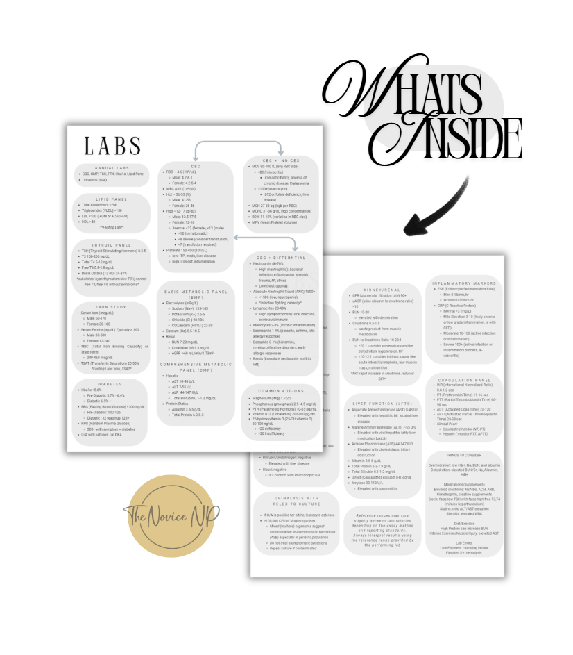 Whats Inside Ebook Labs Page 1, 2.png