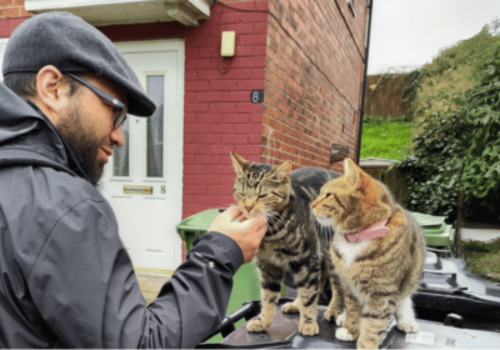 Mothin & Cats.png