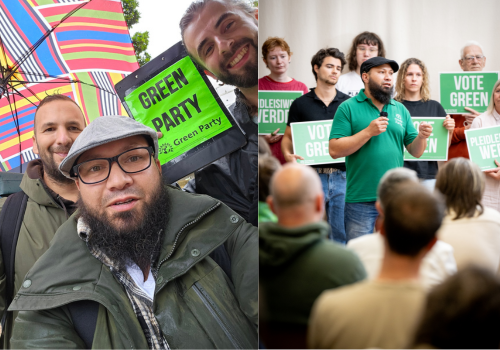 Mothin-greenparty.png