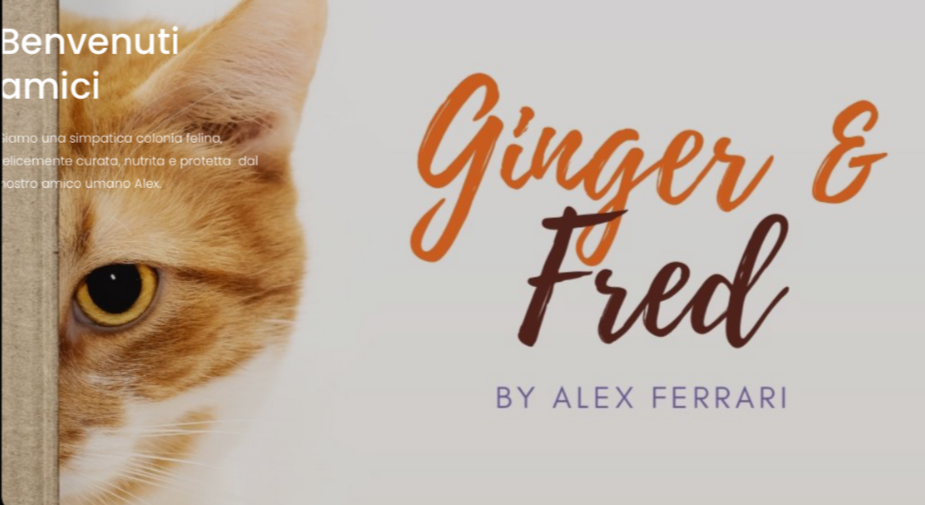 Book cover titled "Ginger & Fred" by Alex Ferrari, featuring a close-up of an orange cat peeking from behind a wall.