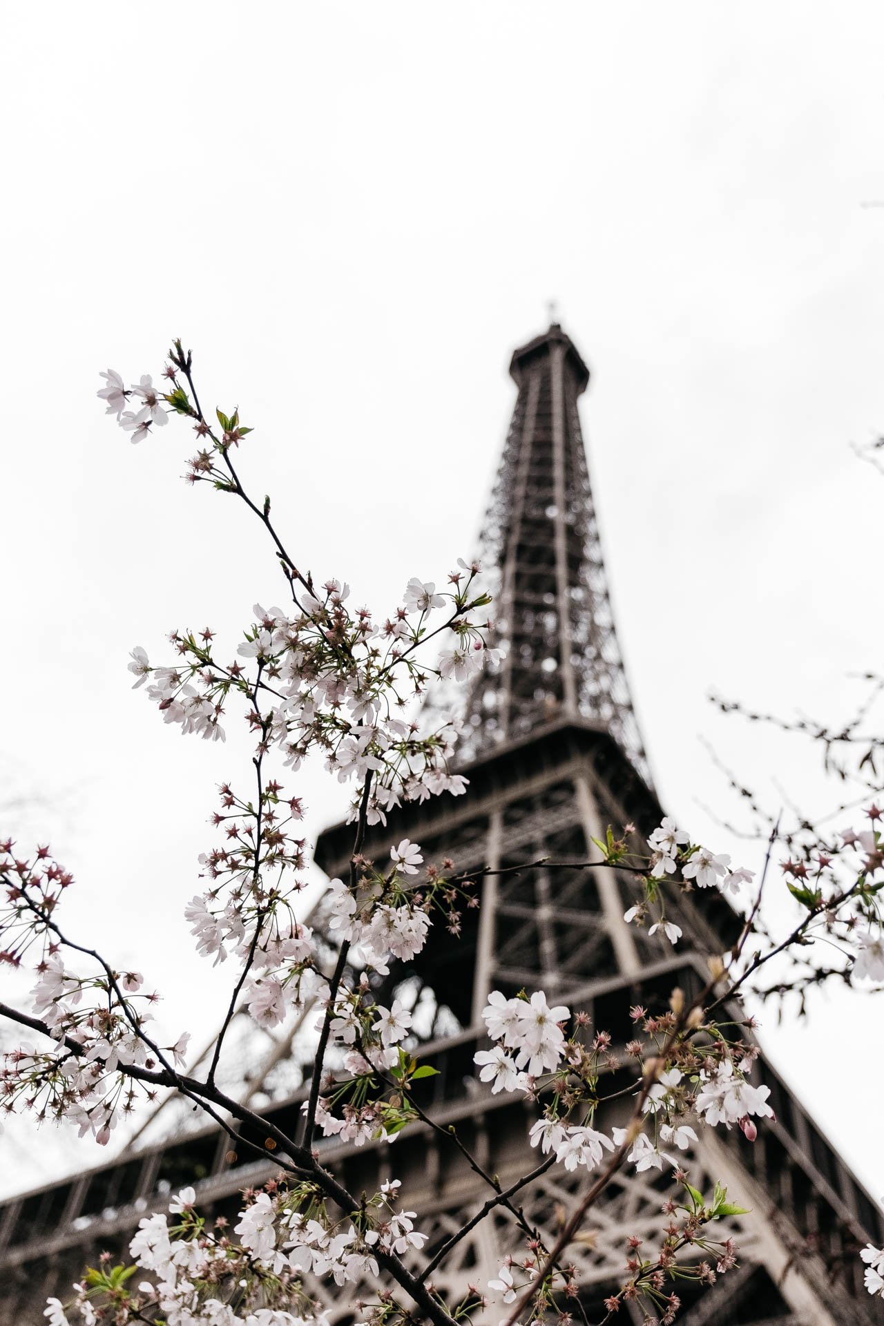 Paris-Day-1-4.jpg
