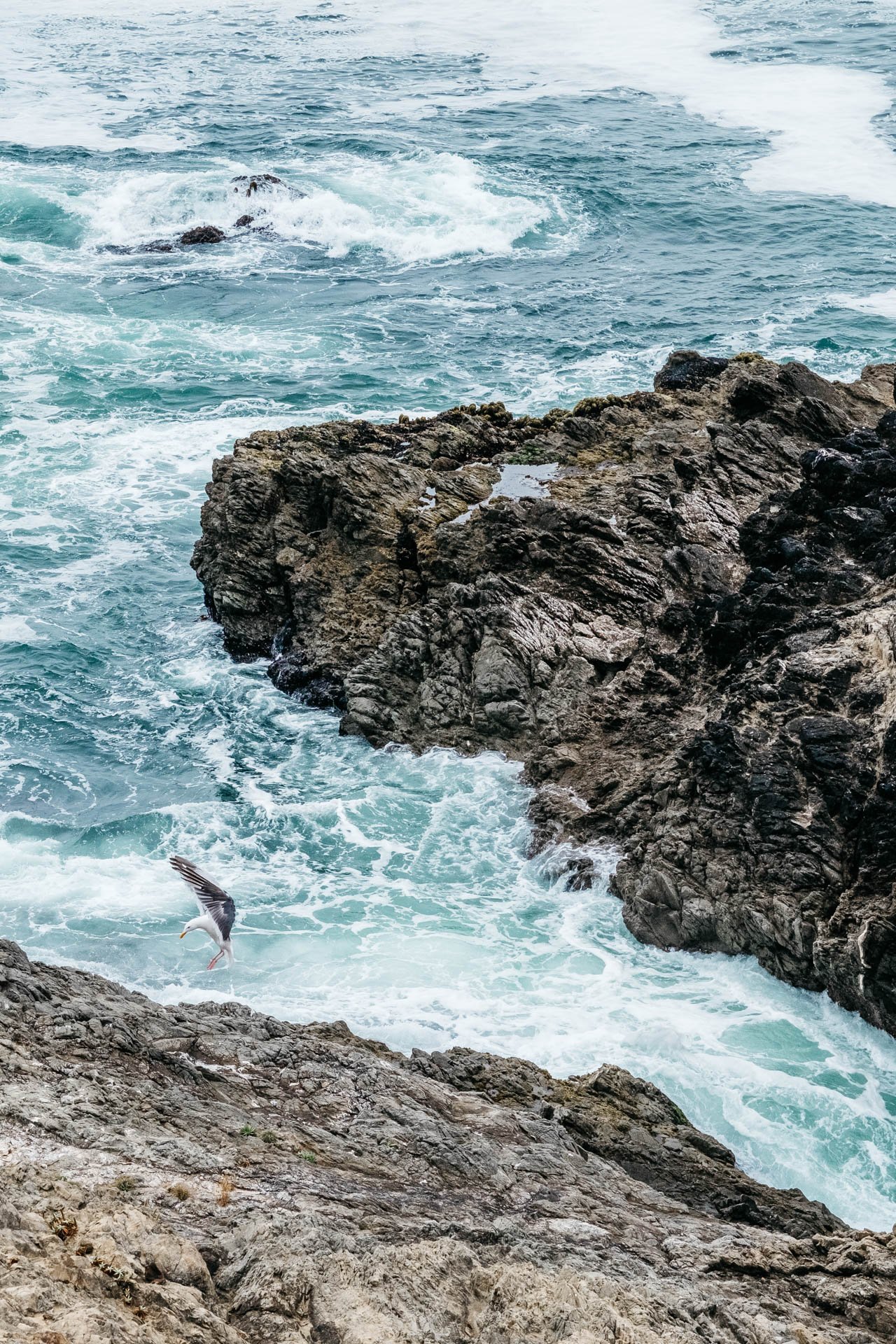 Road-Trip-Through-Point-Reyes-8.jpg