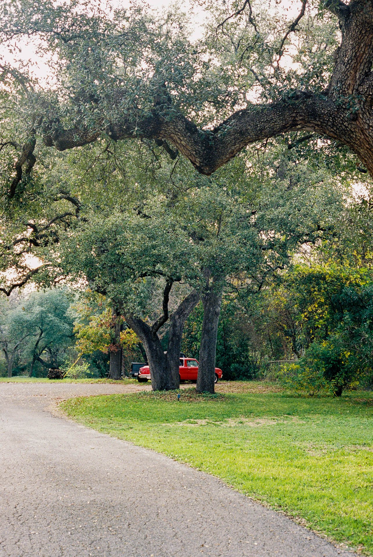 Austin-Texas-on-35mm-Film-6.jpg