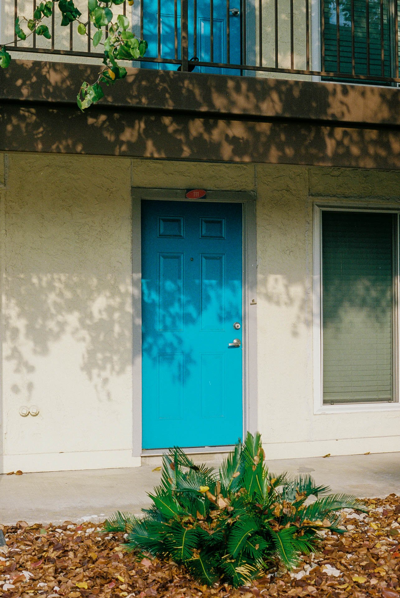 Austin-Texas-on-35mm-Film-12.jpg