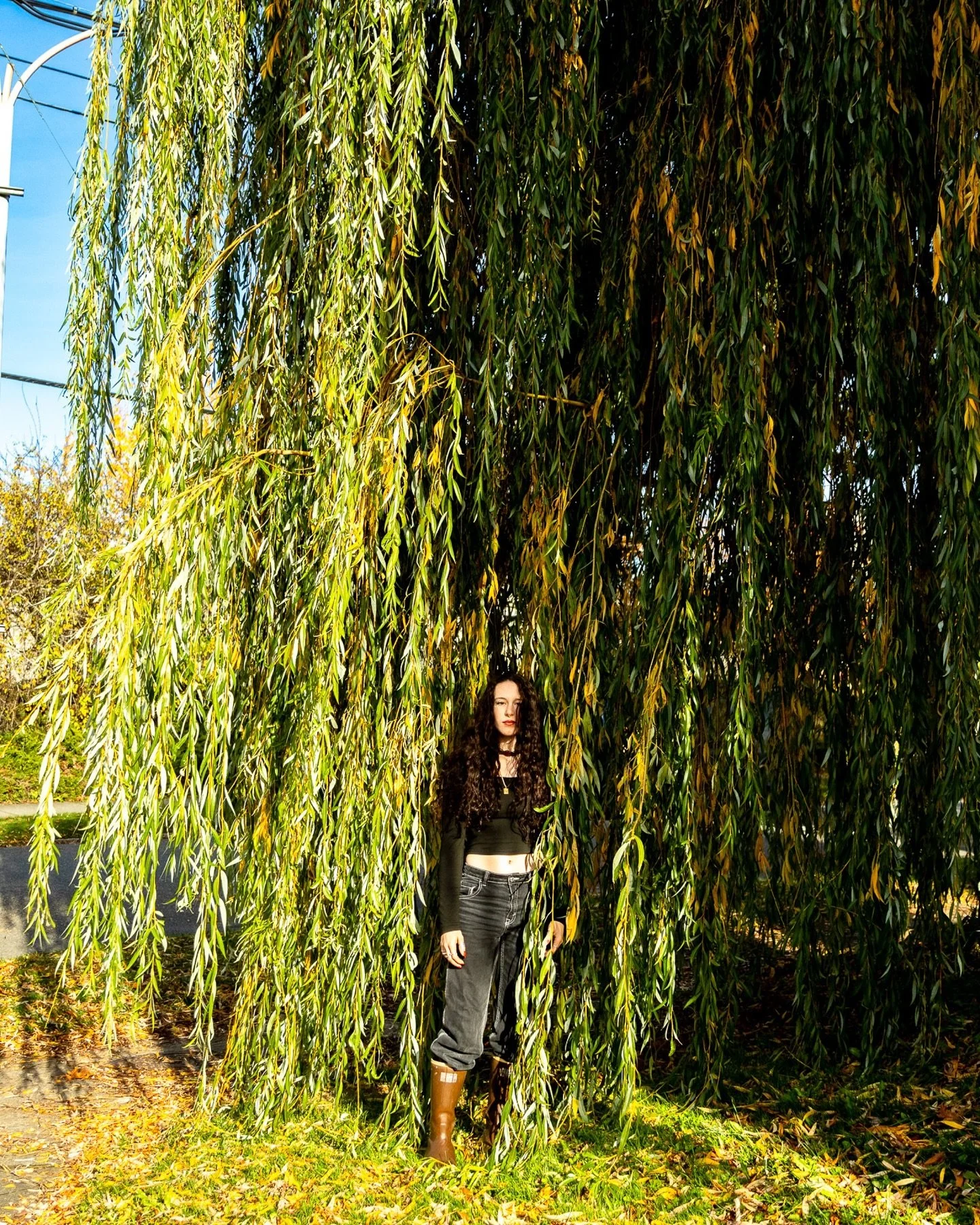 Nothing more romantic and whimsy than a weeping willow. If anyone knows of a weeping willow map in Bellingham PLEASE send it my way. 

It's always a pleasure working with @coastalxcreature. Kiara, you're such a natural, kind and I always feel lucky t