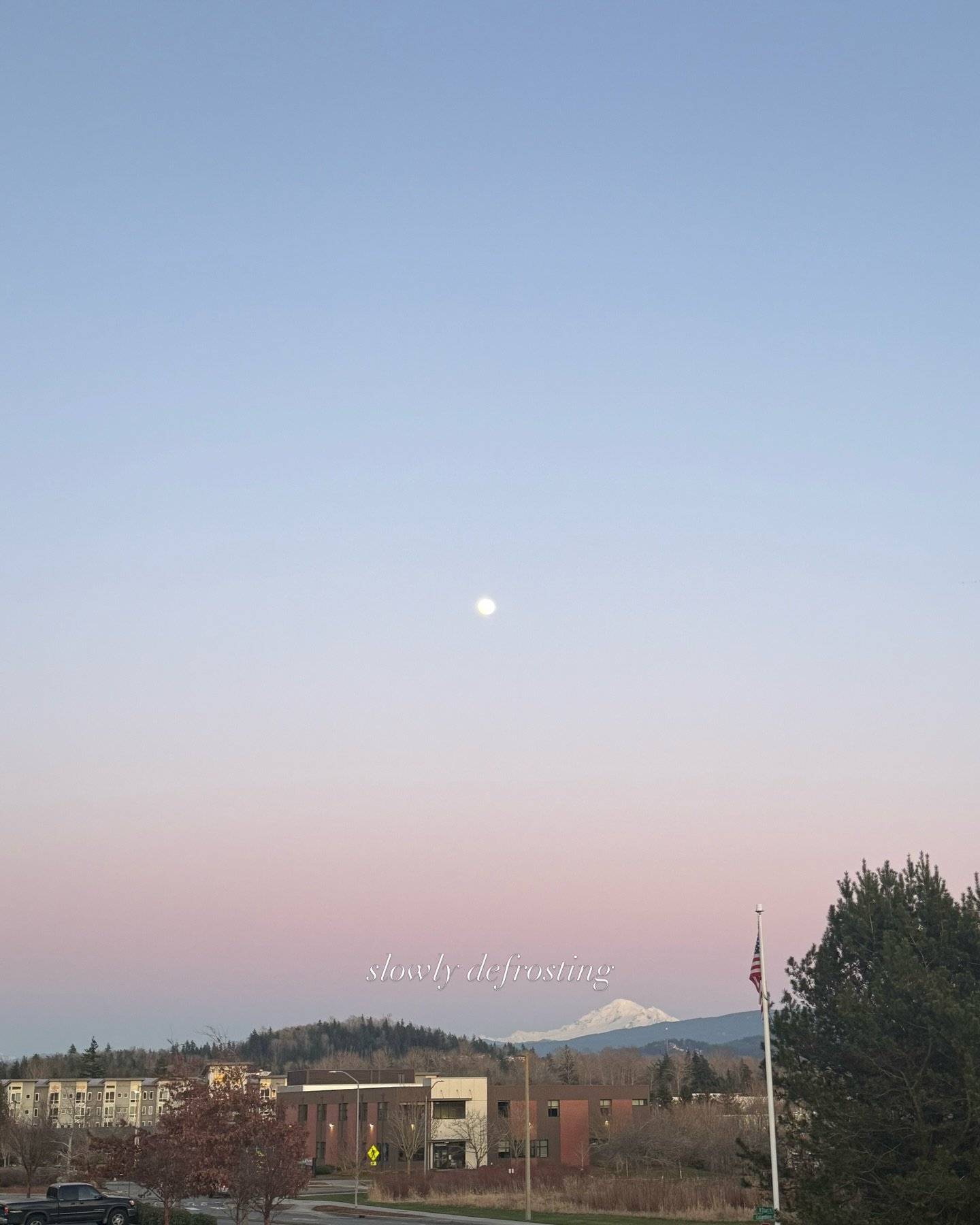 In the process of slowly defrosting 🌞🍇😽

#spring #scrl