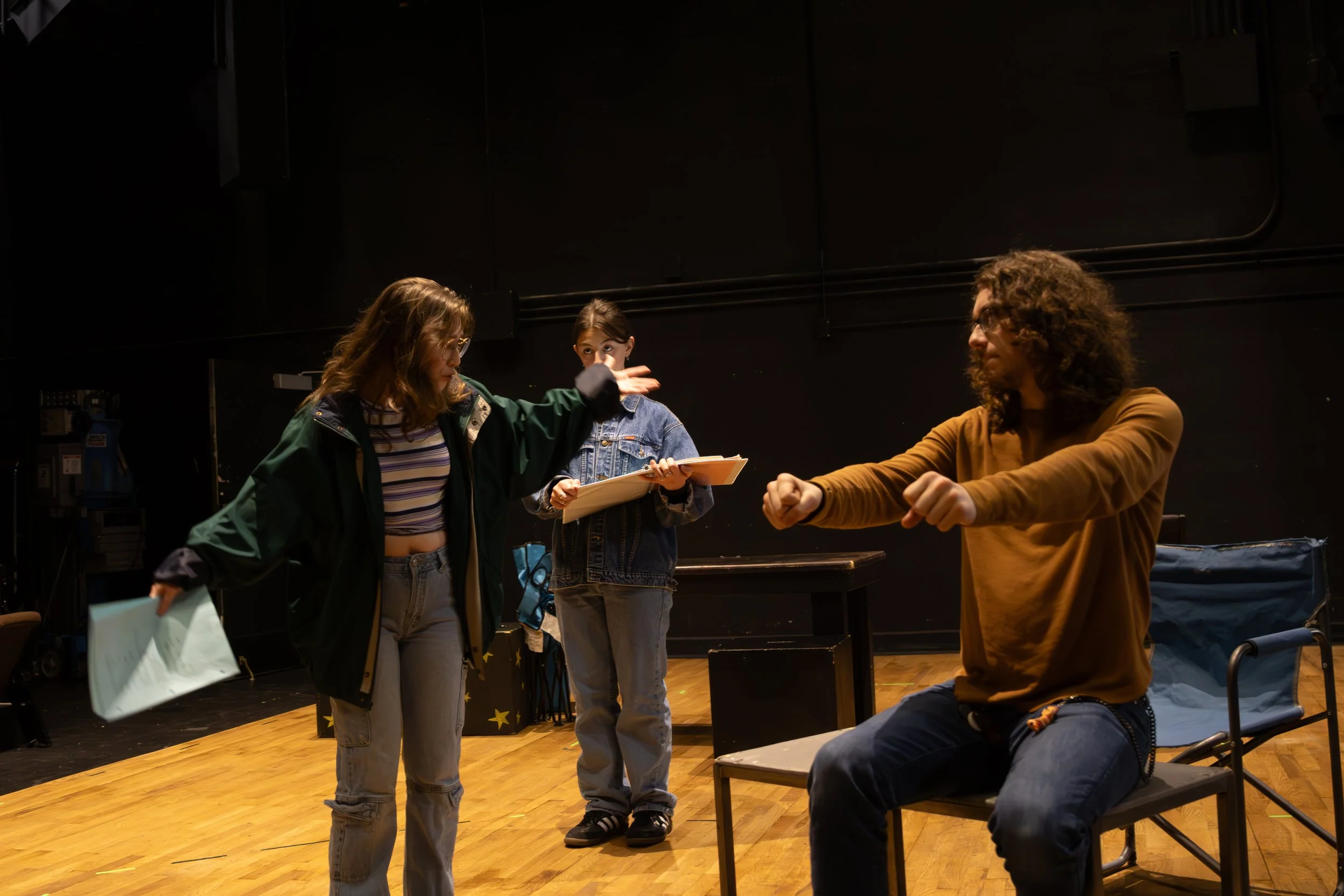 The Storyteller for Western Washington University, Press Materials