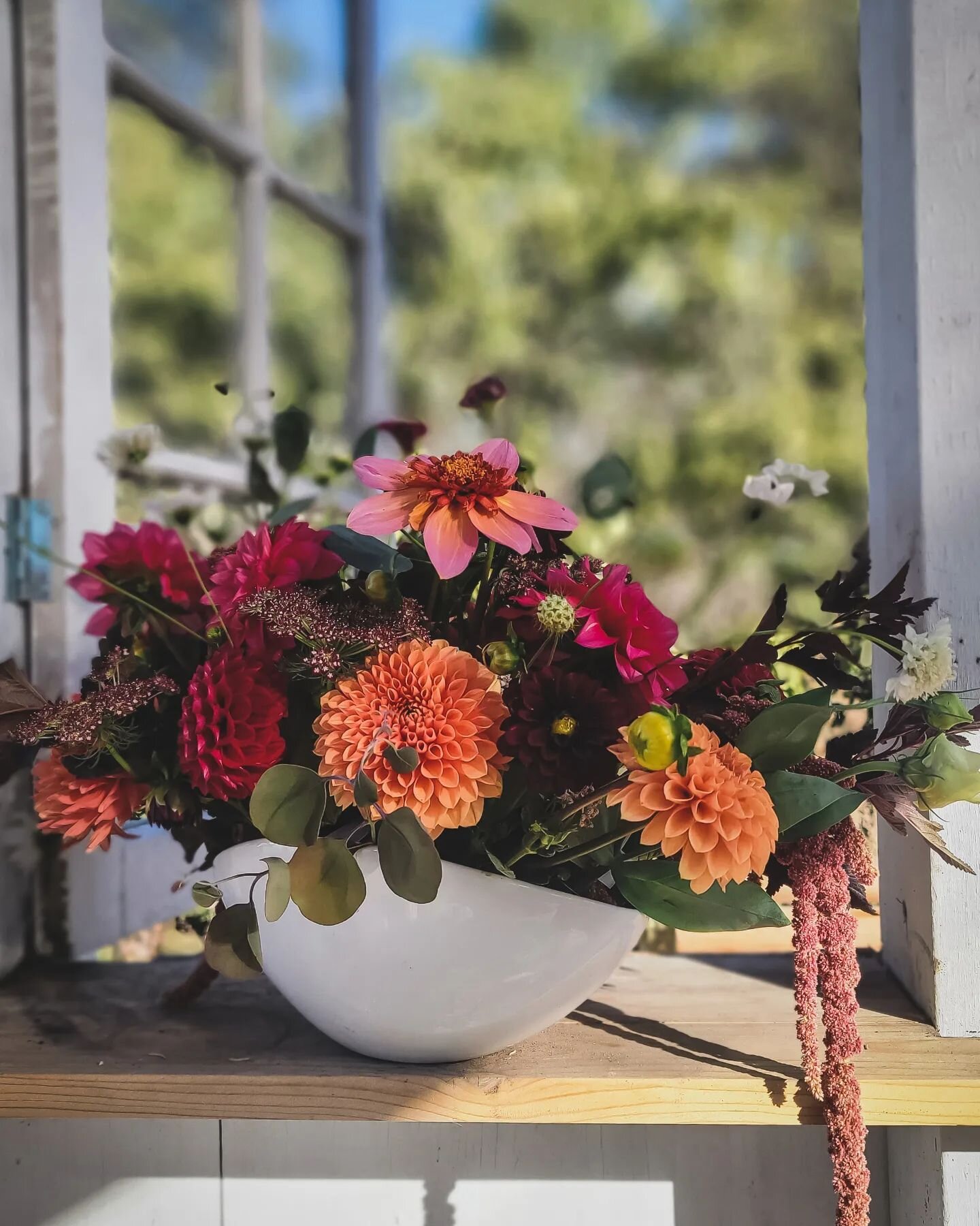 Happy Thanksgiving friends! Hope you are enjoying the long weekend with someone you love.