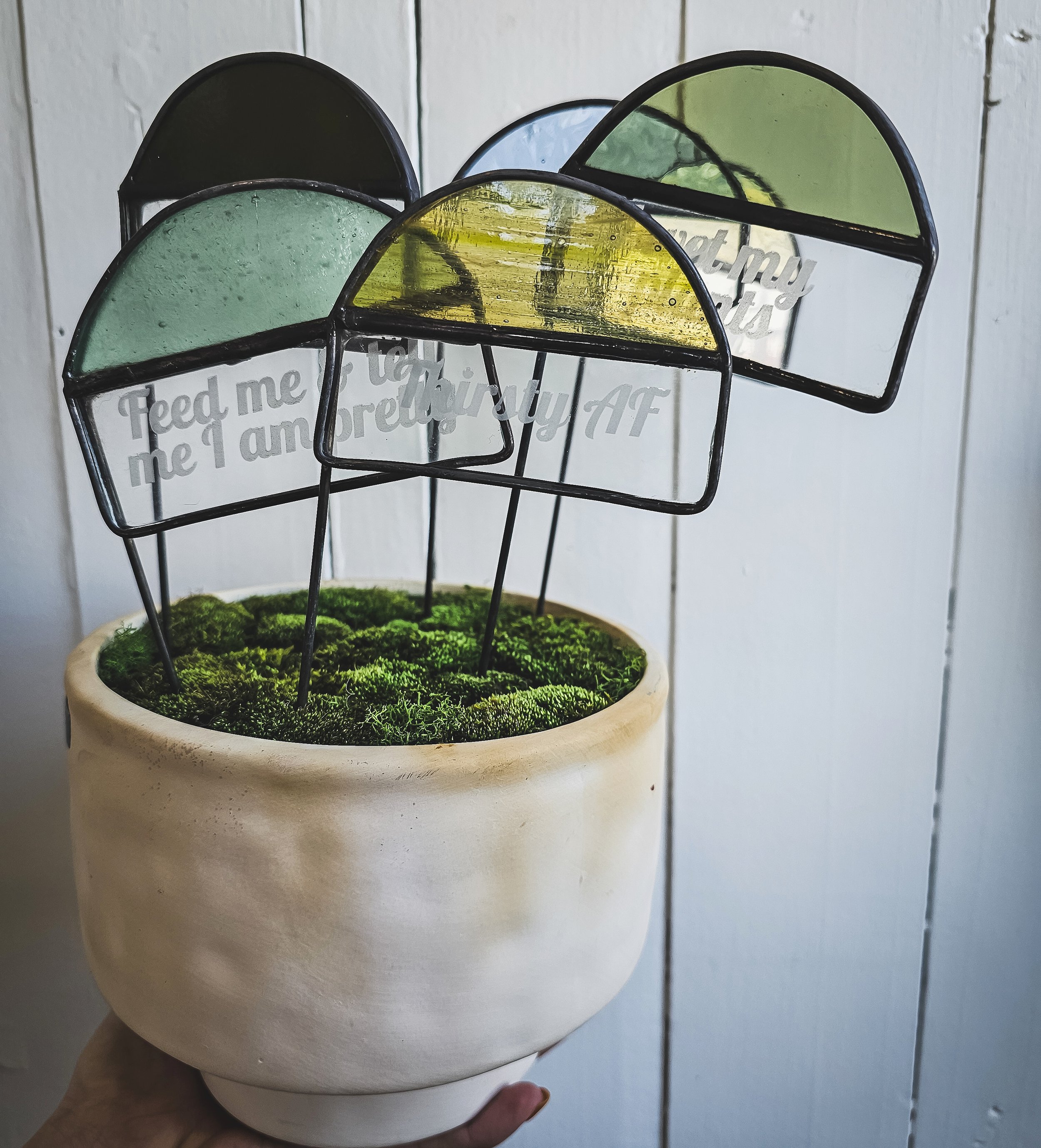Sassy Plant stakes
