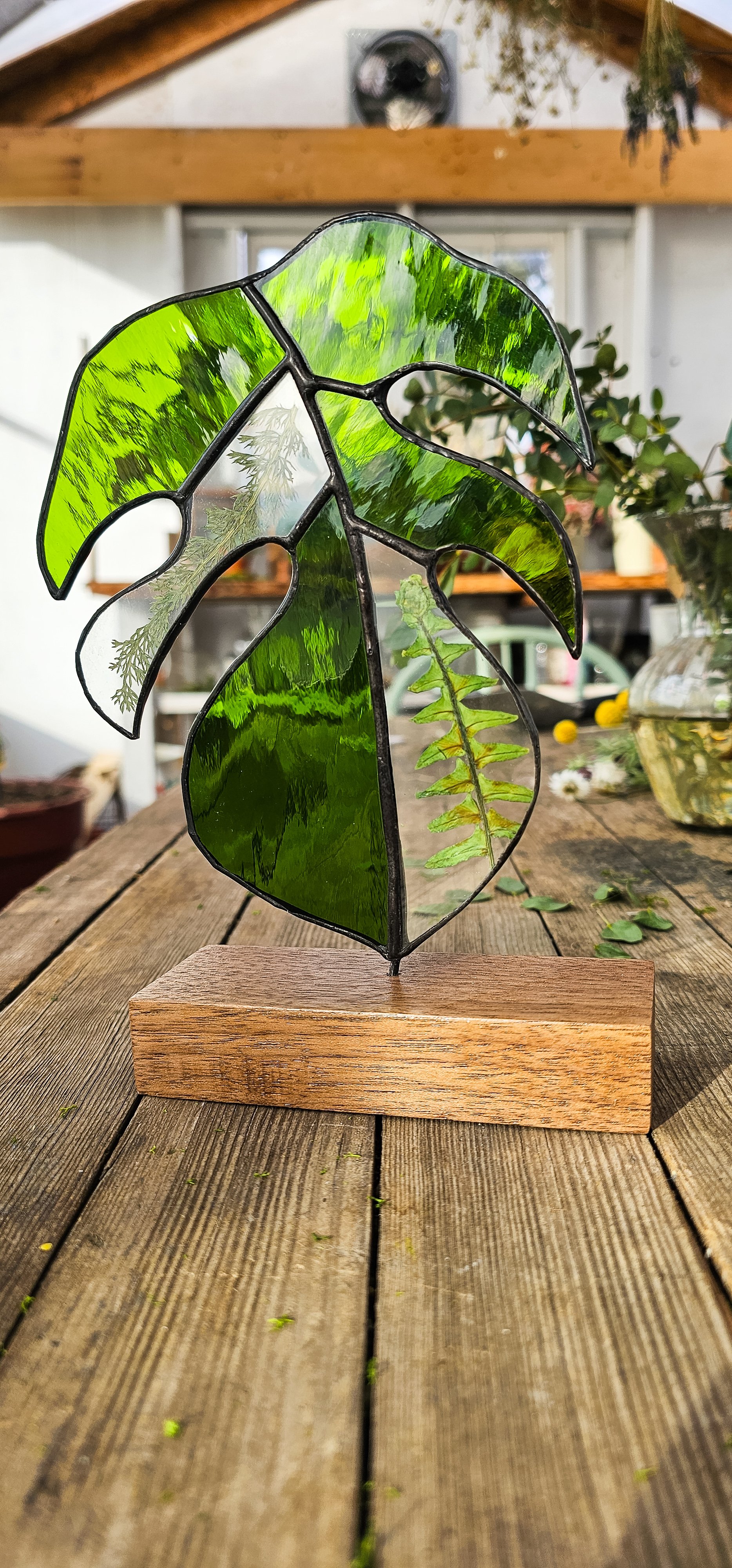 Monstera on Stand